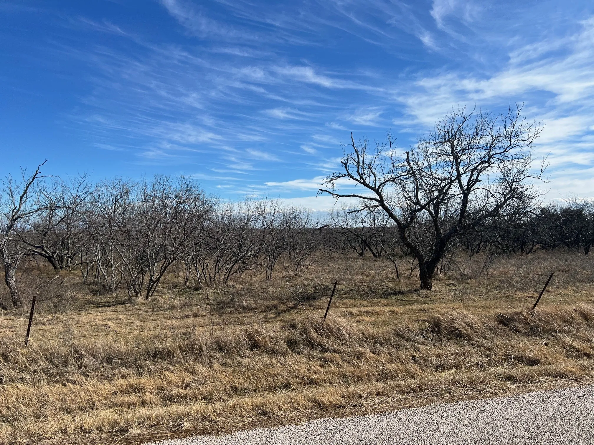 Unimproved Land For Sale in Grayson County , TBD Wright Road, Sherman, Texas 75092, 0, 0, Garage spaces, 0 Sqft, built in 0, Price $1,048,090, mls#21146942, Real Estate Agent in Sherman, Homes For Sale in Grayson county, Homes For Sale in Sherman, Realtor in Sherman Texas, Real Estate Brokerage Independent Realty Texas, Luminita Cordes Realtor