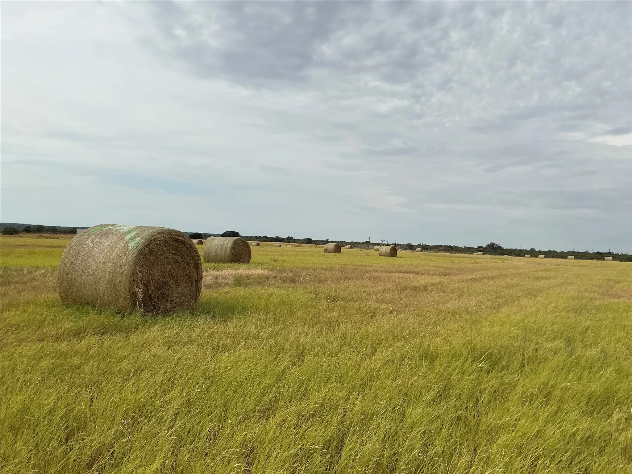 Farm For Sale in San Saba County , 4315 County Road 226, San Saba, Texas 76877, 2 Bedrooms, 1 Bathroom, Garage spaces, 1,047 Sqft, built in 0, Price $640,000, mls#21143194, Real Estate Agent in San Saba, Homes For Sale in San Saba county, Homes For Sale in San Saba, Realtor in San Saba Texas, Real Estate Brokerage Independent Realty Texas, Luminita Cordes Realtor