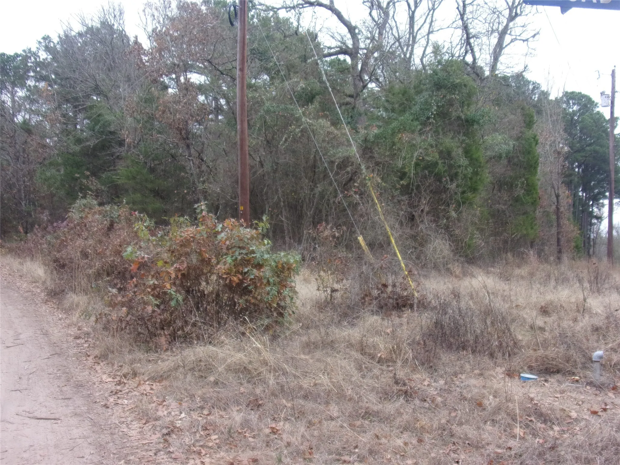Unimproved Land For Sale in Van Zandt County , 000 Briar Valley, Murchison, Texas 75778, 0, 0, Garage spaces, 0 Sqft, built in 0, Price $29,000, mls#21146618, Real Estate Agent in Murchison, Homes For Sale in Van Zandt county, Homes For Sale in Murchison, Realtor in Murchison Texas, Real Estate Brokerage Independent Realty Texas, Luminita Cordes Realtor