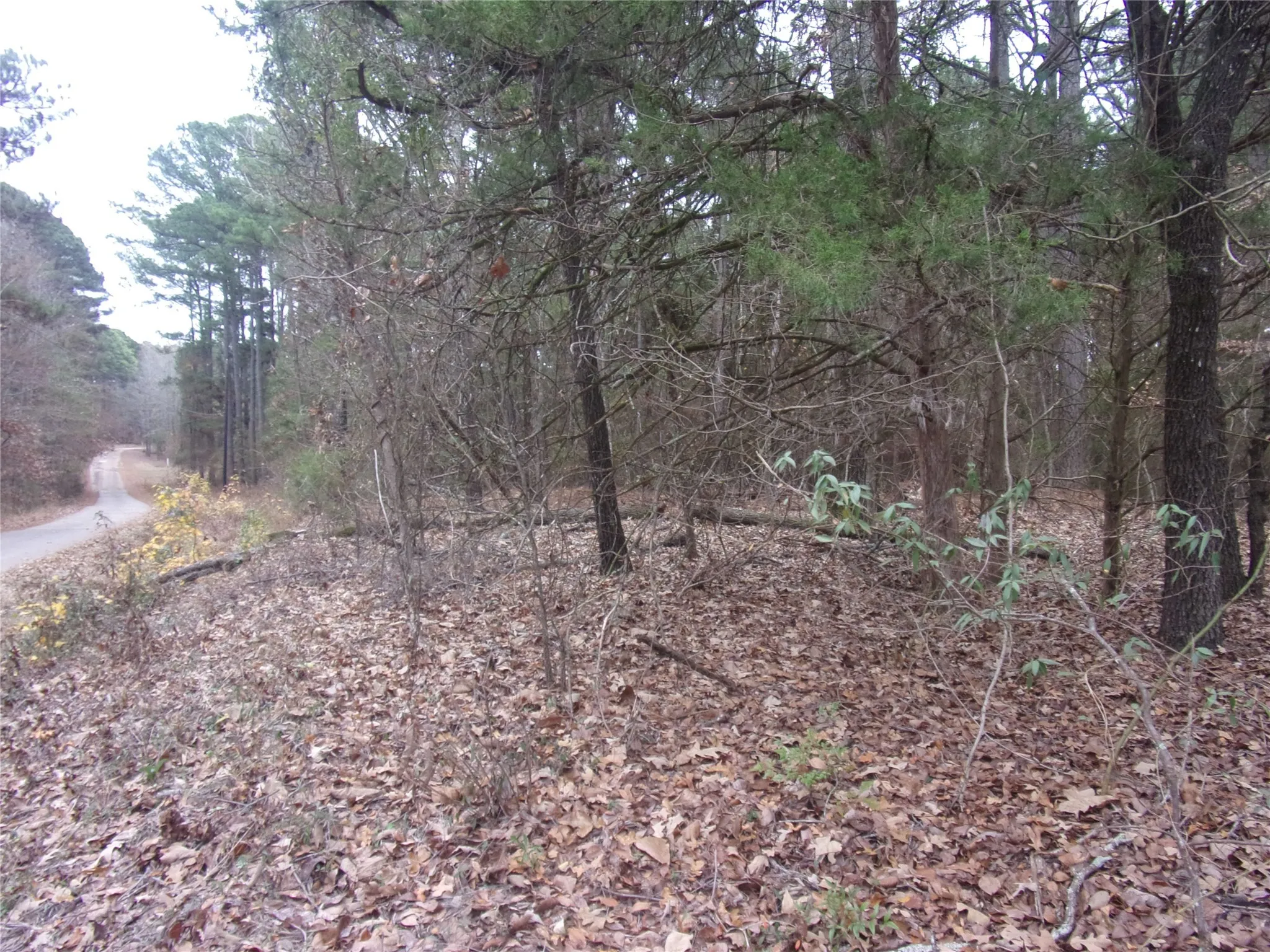 another view of lot by the road