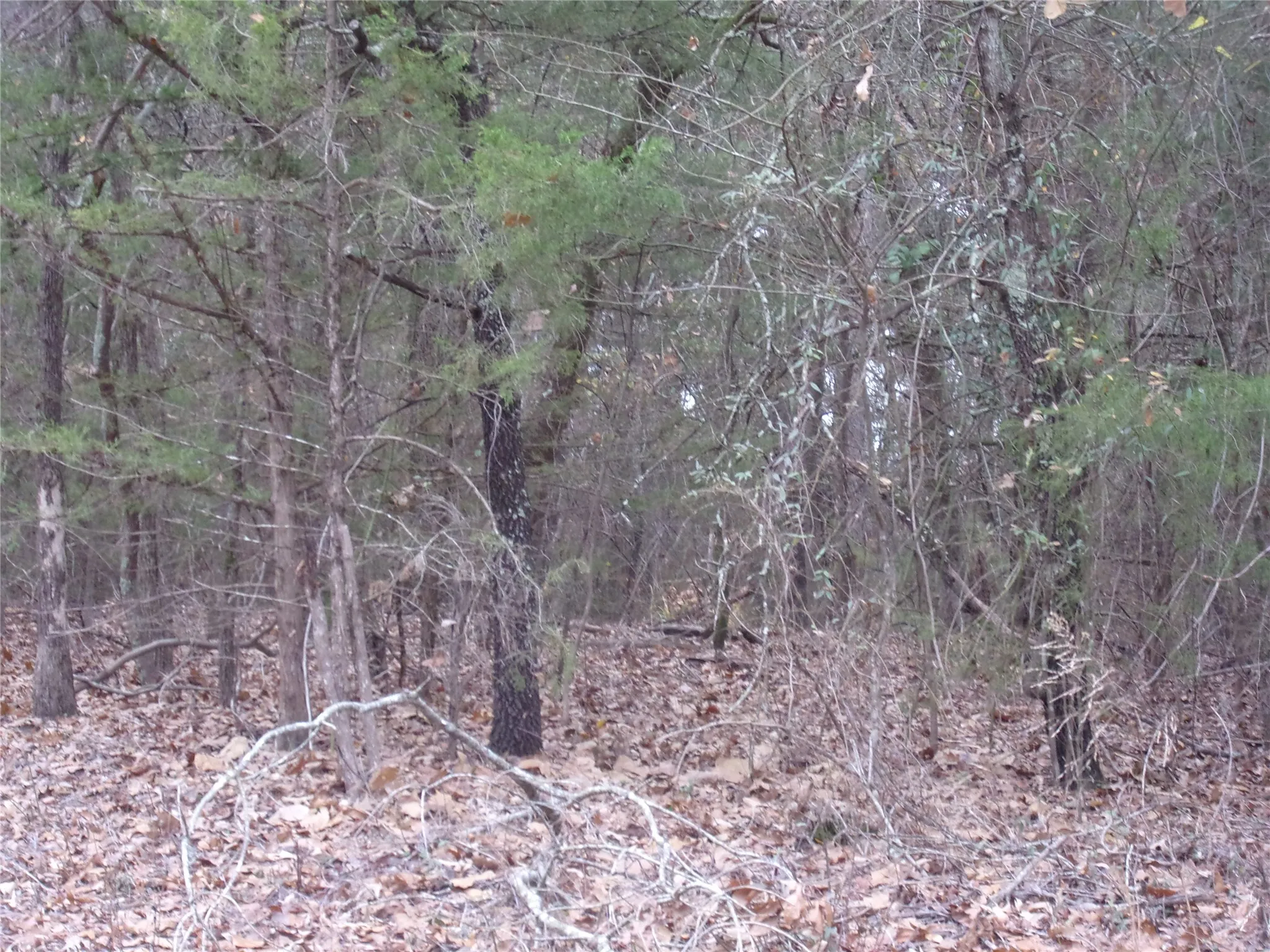 slight slope on part of the lot