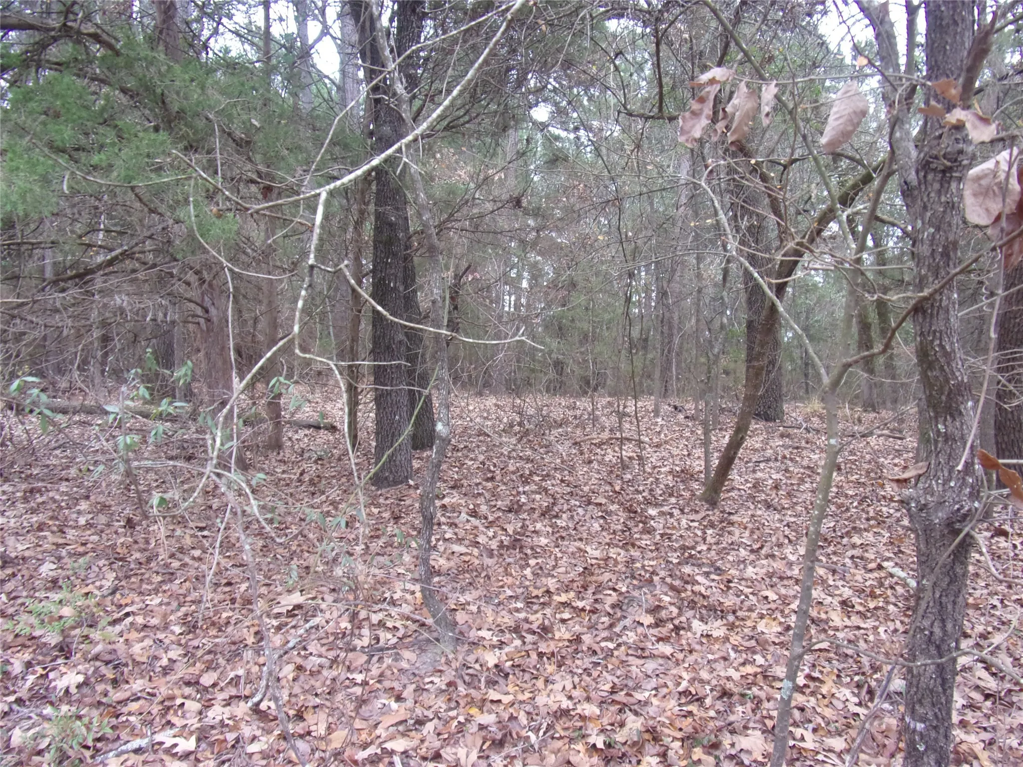 Unimproved Land For Sale in Van Zandt County , 000 Briar Valley, Murchison, Texas 75778, 0, 0, Garage spaces, 0 Sqft, built in 0, Price $29,000, mls#21146618, Real Estate Agent in Murchison, Homes For Sale in Van Zandt county, Homes For Sale in Murchison, Realtor in Murchison Texas, Real Estate Brokerage Independent Realty Texas, Luminita Cordes Realtor