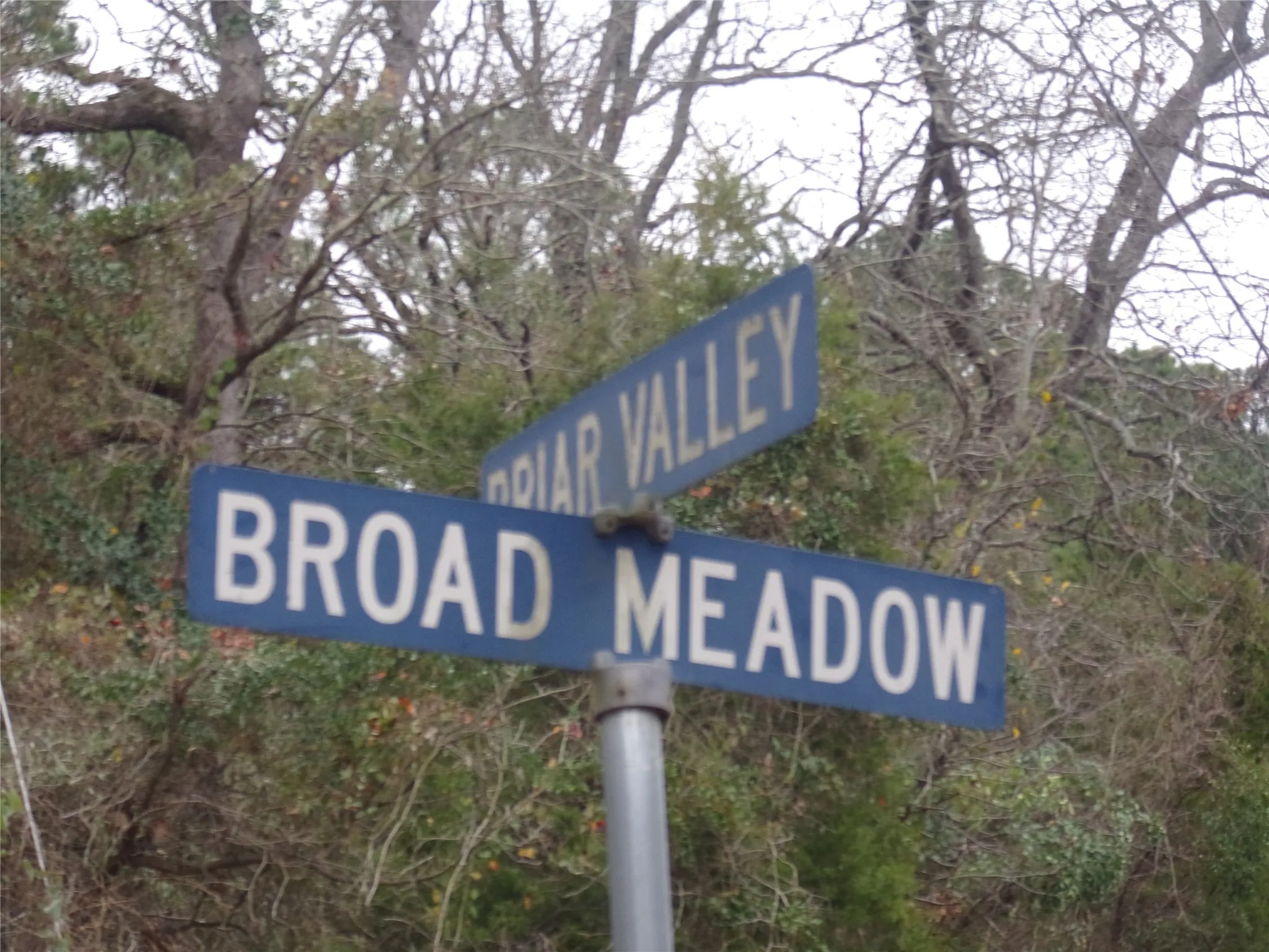 sign at corner of property