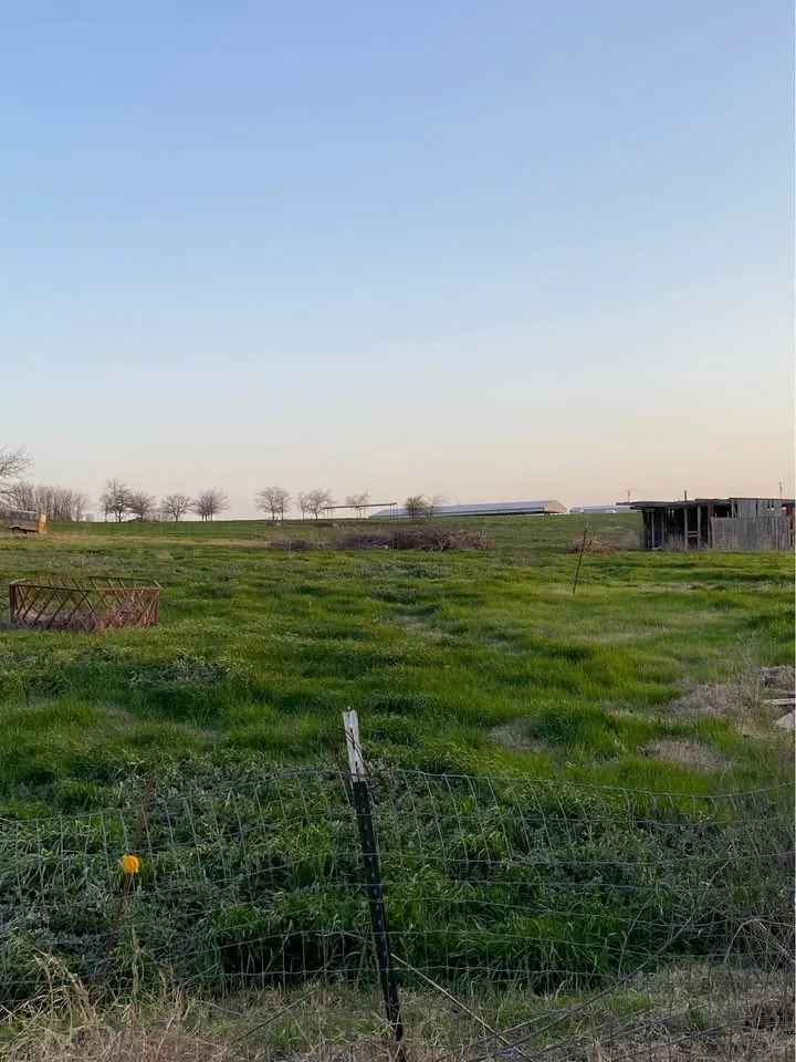 Single Family Residence For Sale in Wise County , 235 Hilltop Trail, New Fairview, Texas 76078, 3 Bedrooms, 2 Bathrooms, Garage spaces, 1,344 Sqft, built in 1994, Price $199,000, mls#21147107, Real Estate Agent in New Fairview, Homes For Sale in Wise county, Homes For Sale in New Fairview, Realtor in New Fairview Texas, Real Estate Brokerage Independent Realty Texas, Luminita Cordes Realtor