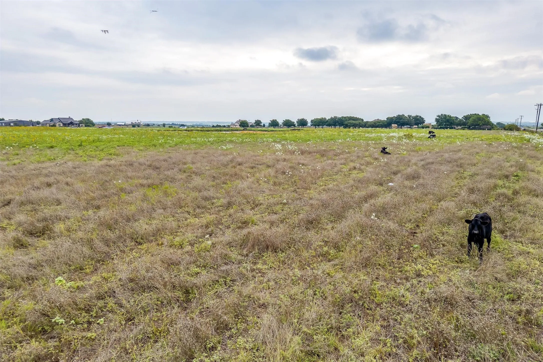 Unimproved Land For Sale in Tarrant County , 12700 W Rocky Creek Road, Crowley, Texas 76036, 0, 0, Garage spaces, 0 Sqft, built in 0, Price $825,000, mls#21146281, Real Estate Agent in Crowley, Homes For Sale in Tarrant county, Homes For Sale in Crowley, Realtor in Crowley Texas, Real Estate Brokerage Independent Realty Texas, Luminita Cordes Realtor