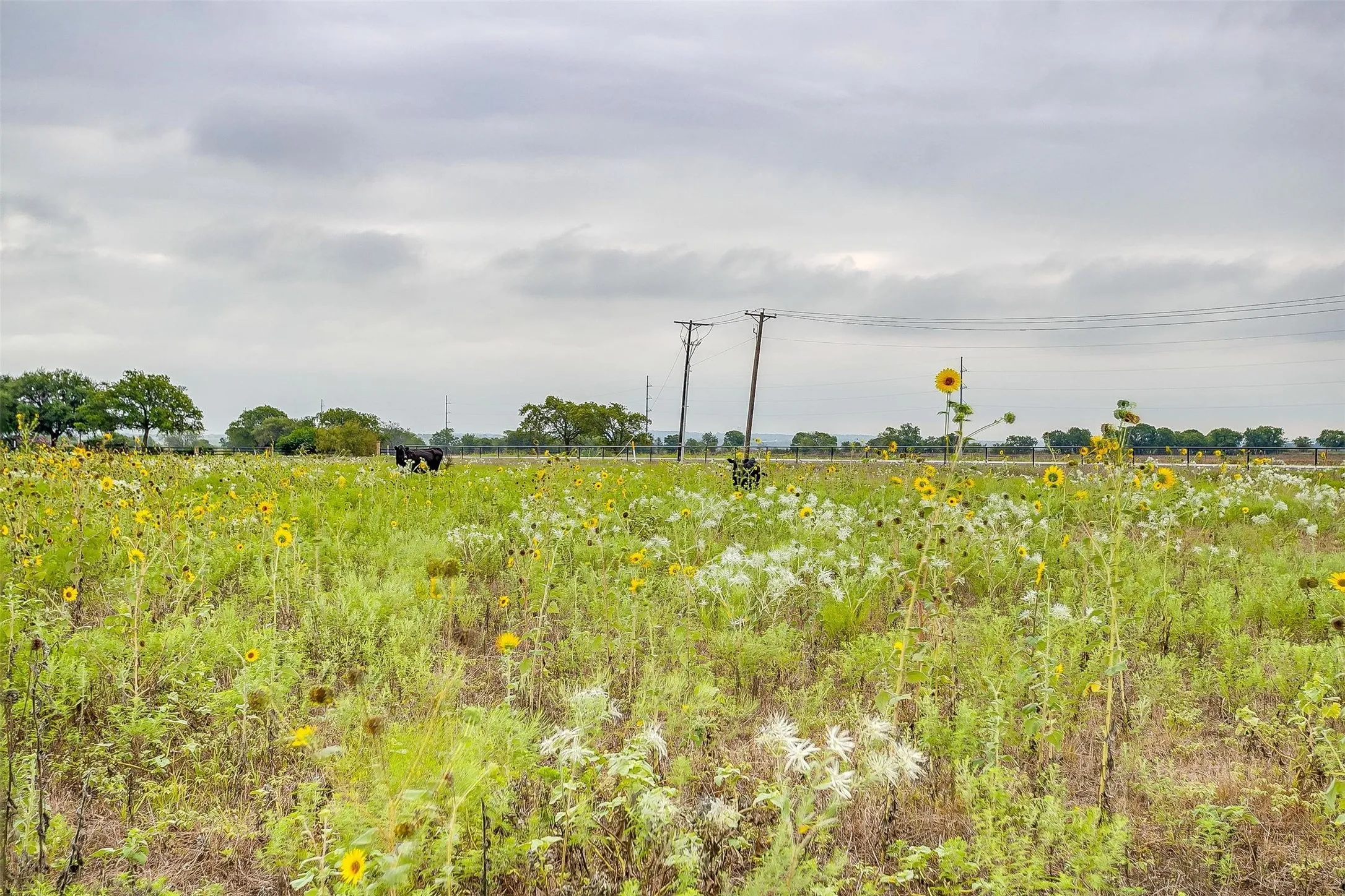 Unimproved Land For Sale in Tarrant County , 12700 W Rocky Creek Road, Crowley, Texas 76036, 0, 0, Garage spaces, 0 Sqft, built in 0, Price $825,000, mls#21146281, Real Estate Agent in Crowley, Homes For Sale in Tarrant county, Homes For Sale in Crowley, Realtor in Crowley Texas, Real Estate Brokerage Independent Realty Texas, Luminita Cordes Realtor