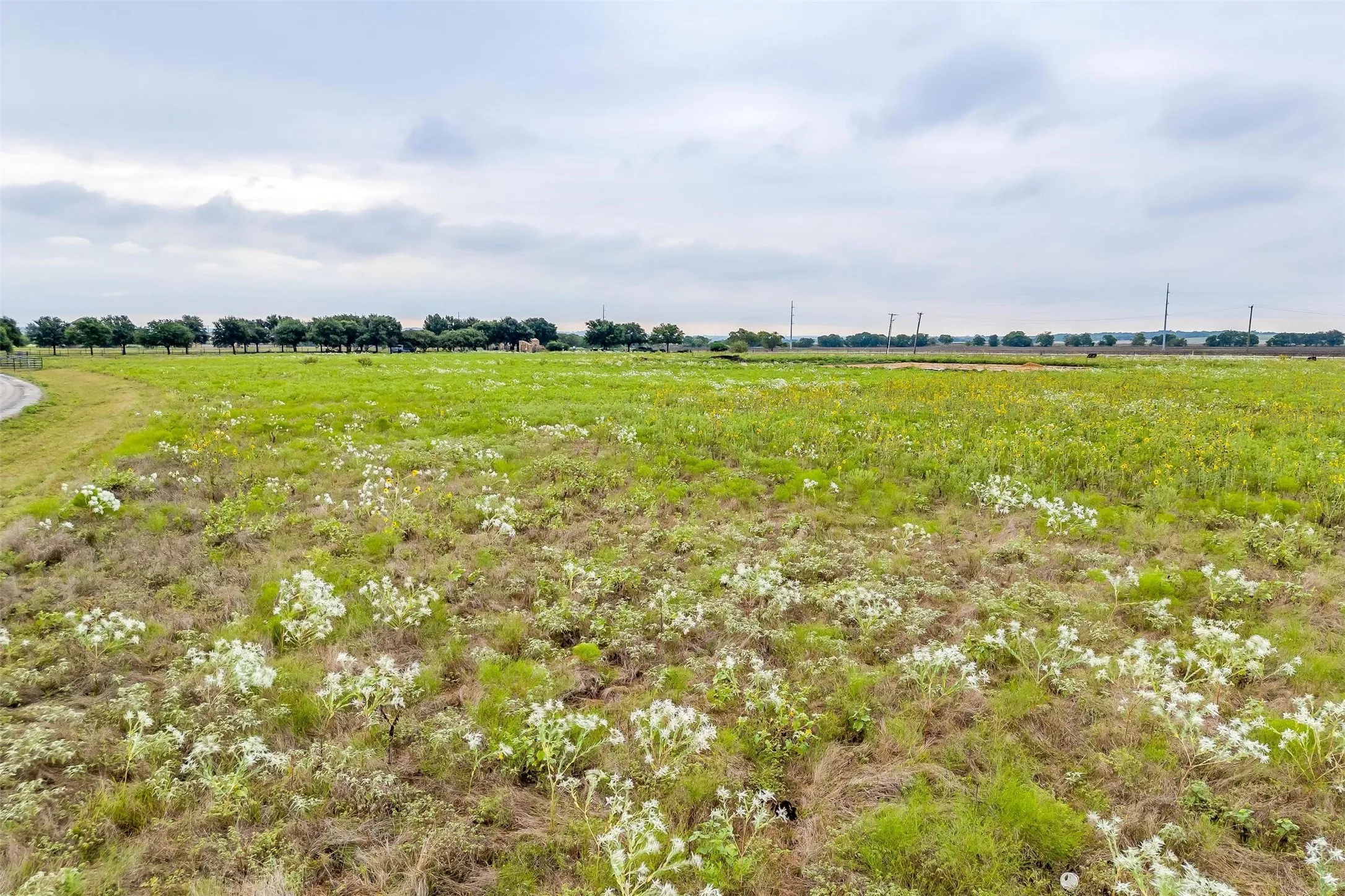 Unimproved Land For Sale in Tarrant County , 12700 W Rocky Creek Road, Crowley, Texas 76036, 0, 0, Garage spaces, 0 Sqft, built in 0, Price $825,000, mls#21146281, Real Estate Agent in Crowley, Homes For Sale in Tarrant county, Homes For Sale in Crowley, Realtor in Crowley Texas, Real Estate Brokerage Independent Realty Texas, Luminita Cordes Realtor