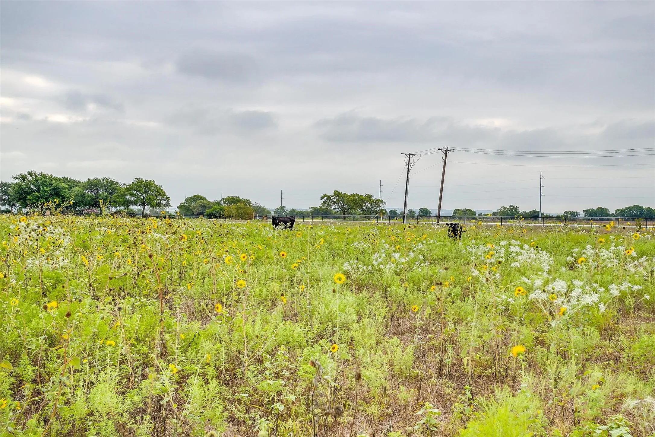 Unimproved Land For Sale in Tarrant County , 12700 W Rocky Creek Road, Crowley, Texas 76036, 0, 0, Garage spaces, 0 Sqft, built in 0, Price $825,000, mls#21146281, Real Estate Agent in Crowley, Homes For Sale in Tarrant county, Homes For Sale in Crowley, Realtor in Crowley Texas, Real Estate Brokerage Independent Realty Texas, Luminita Cordes Realtor