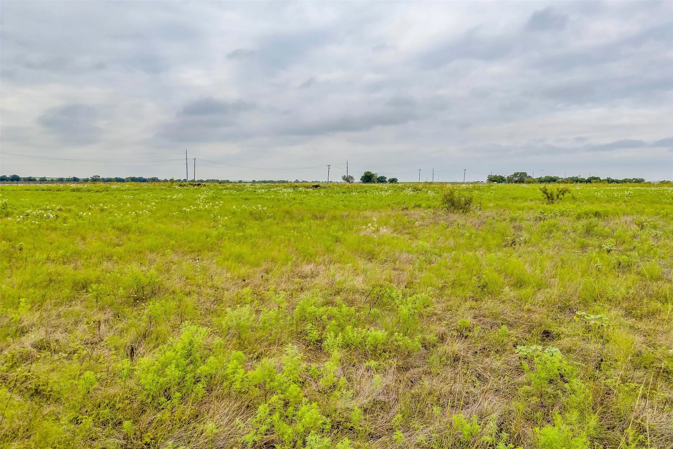 Unimproved Land For Sale in Tarrant County , 12700 W Rocky Creek Road, Crowley, Texas 76036, 0, 0, Garage spaces, 0 Sqft, built in 0, Price $825,000, mls#21146281, Real Estate Agent in Crowley, Homes For Sale in Tarrant county, Homes For Sale in Crowley, Realtor in Crowley Texas, Real Estate Brokerage Independent Realty Texas, Luminita Cordes Realtor