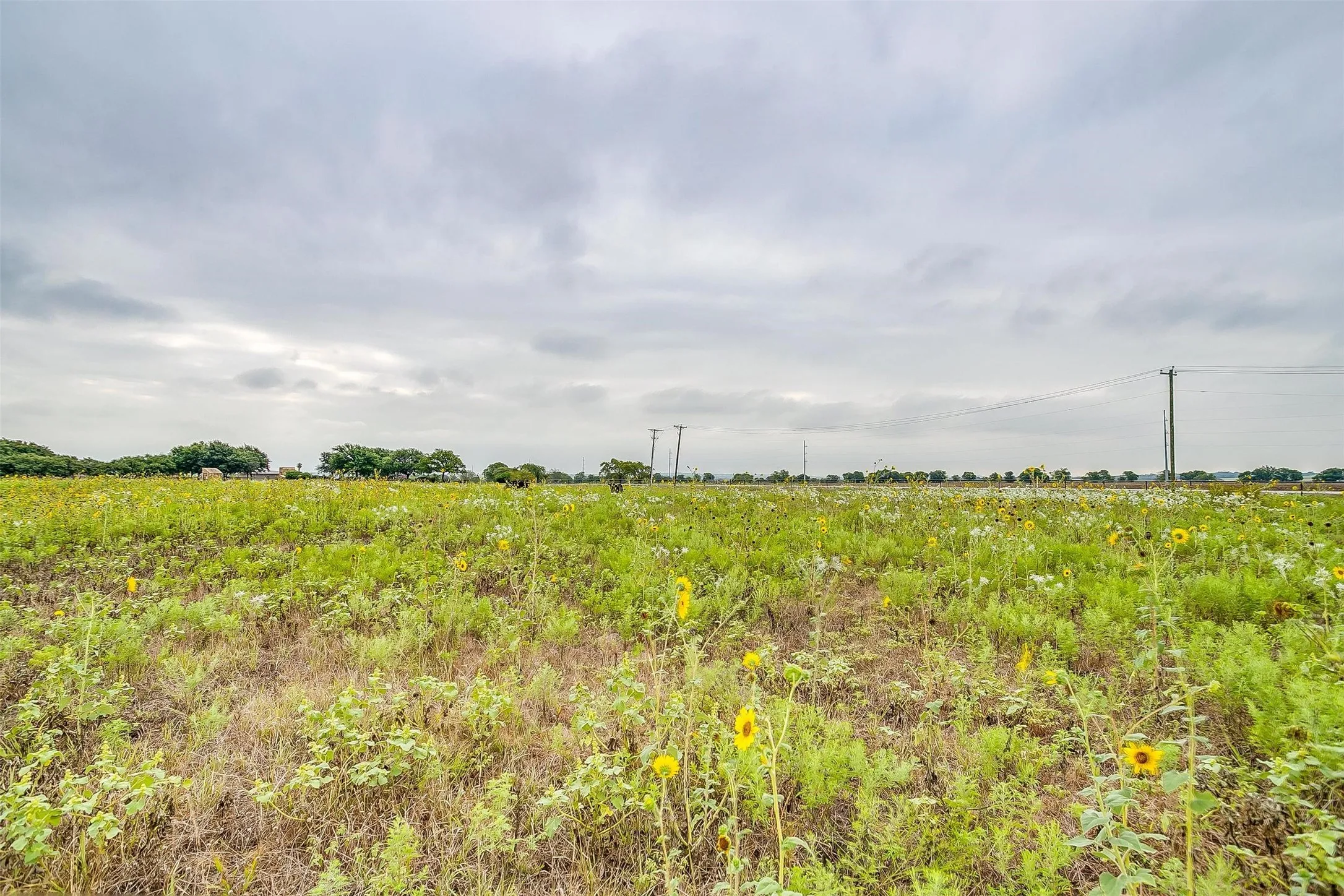 Unimproved Land For Sale in Tarrant County , 12700 W Rocky Creek Road, Crowley, Texas 76036, 0, 0, Garage spaces, 0 Sqft, built in 0, Price $825,000, mls#21146281, Real Estate Agent in Crowley, Homes For Sale in Tarrant county, Homes For Sale in Crowley, Realtor in Crowley Texas, Real Estate Brokerage Independent Realty Texas, Luminita Cordes Realtor