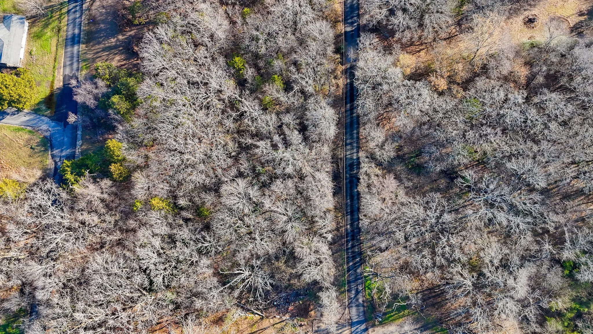 Unimproved Land For Sale in Navarro County , TBD NW CR 3323, Frost, Texas 76641, 0, 0, Garage spaces, 0 Sqft, built in 0, Price $20,000, mls#21147393, Real Estate Agent in Frost, Homes For Sale in Navarro county, Homes For Sale in Frost, Realtor in Frost Texas, Real Estate Brokerage Independent Realty Texas, Luminita Cordes Realtor