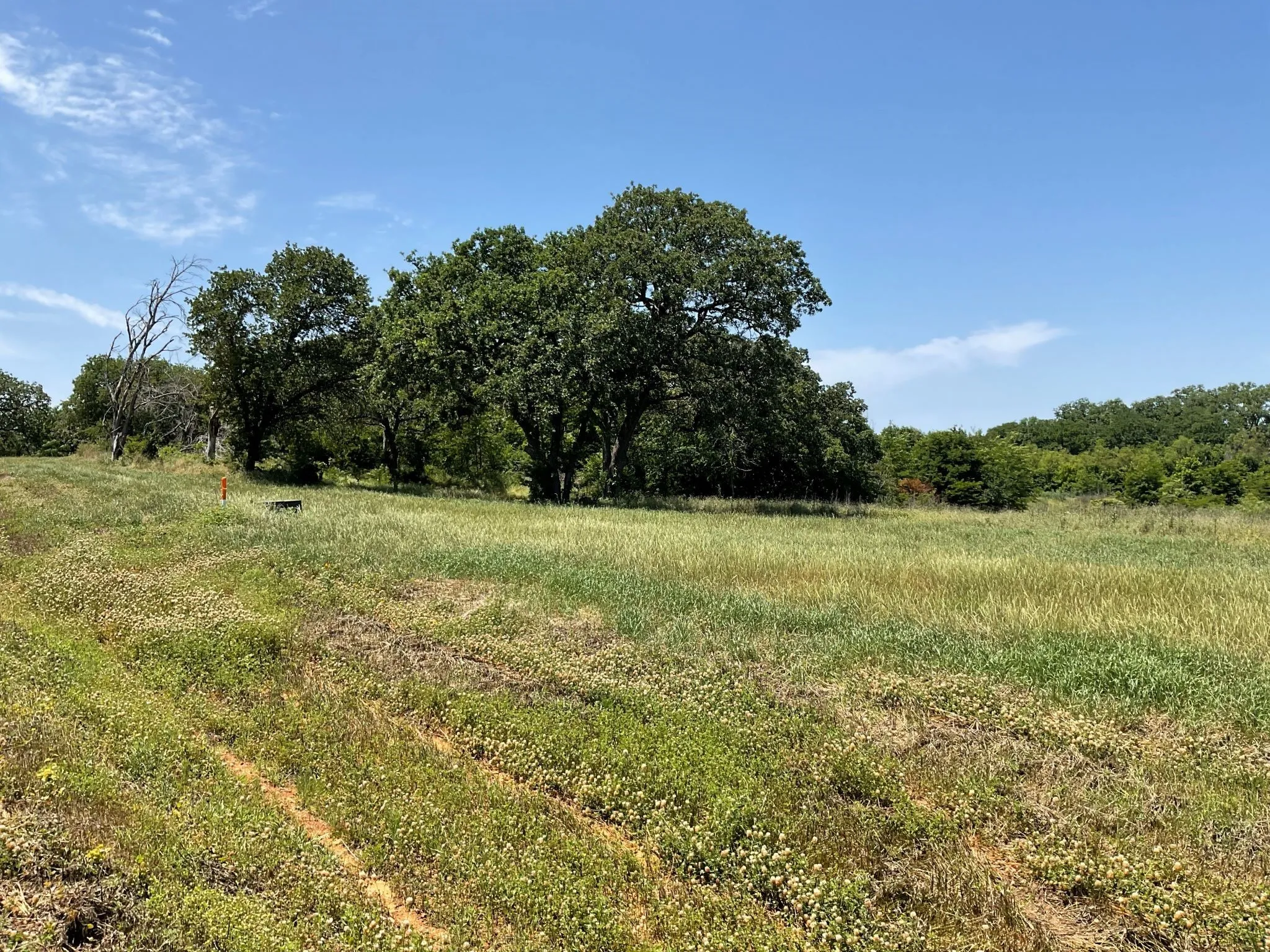 Unimproved Land For Sale in Johnson County , 1657 Private Access 60200, Burleson, Texas 76028, 0, 0, Garage spaces, 0 Sqft, built in 0, Price $340,000, mls#21147385, Real Estate Agent in Burleson, Homes For Sale in Johnson county, Homes For Sale in Burleson, Realtor in Burleson Texas, Real Estate Brokerage Independent Realty Texas, Luminita Cordes Realtor