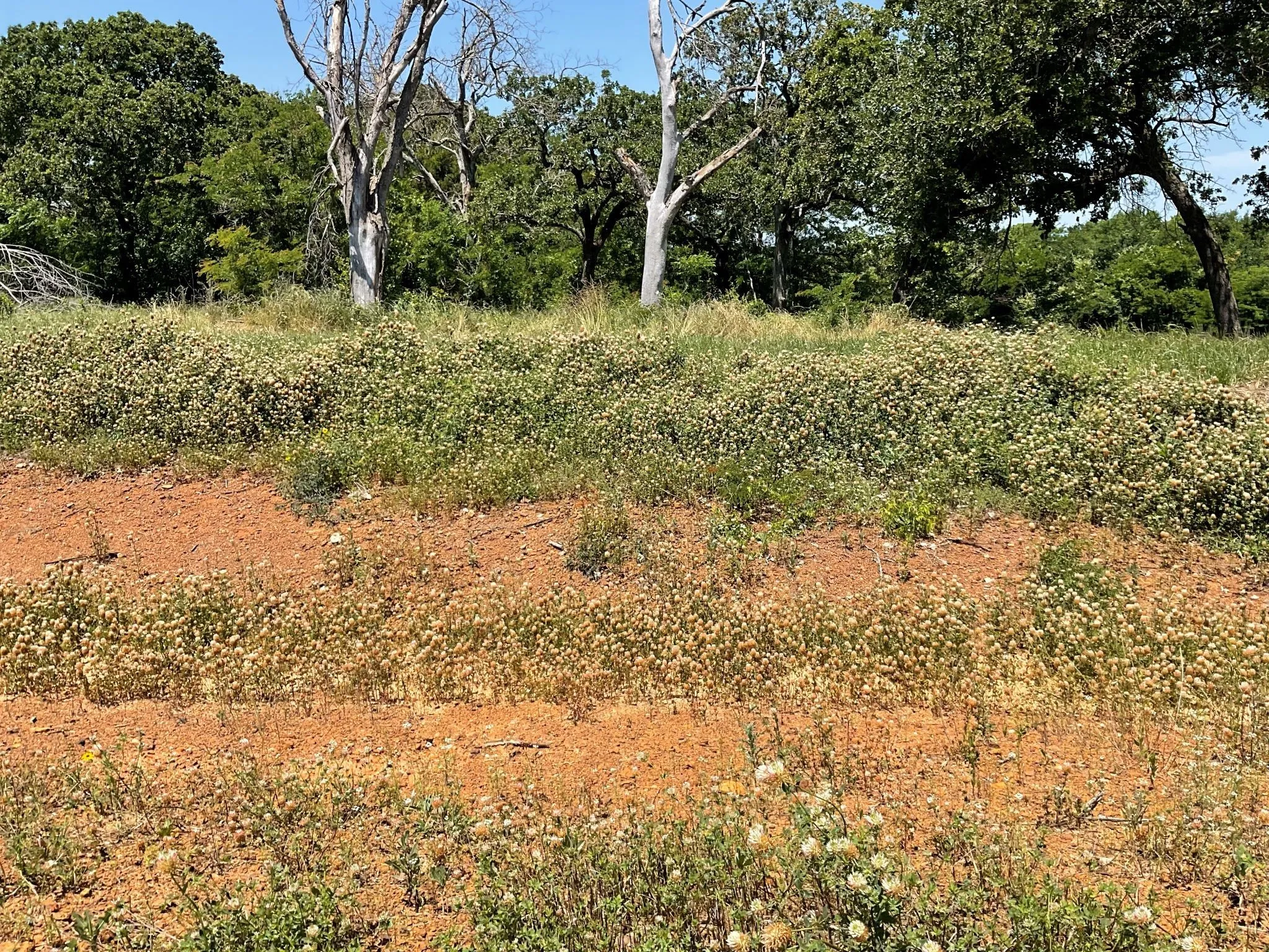 Unimproved Land For Sale in Johnson County , 1657 Private Access 60200, Burleson, Texas 76028, 0, 0, Garage spaces, 0 Sqft, built in 0, Price $340,000, mls#21147385, Real Estate Agent in Burleson, Homes For Sale in Johnson county, Homes For Sale in Burleson, Realtor in Burleson Texas, Real Estate Brokerage Independent Realty Texas, Luminita Cordes Realtor