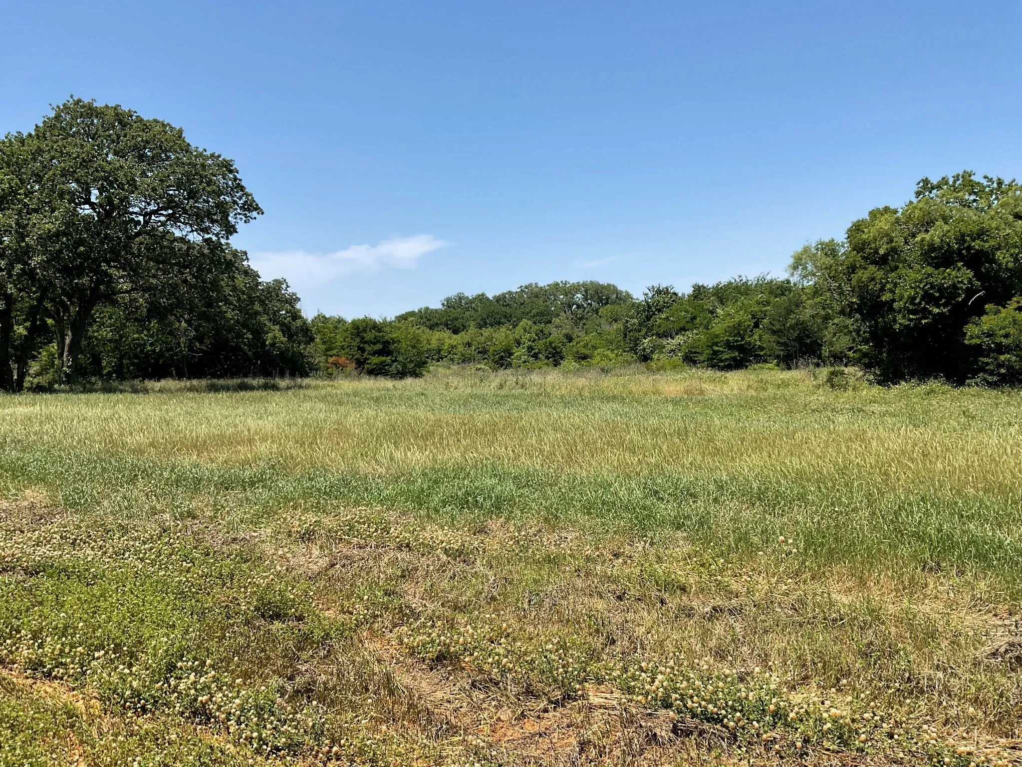 Unimproved Land For Sale in Johnson County , 1657 Private Access 60200, Burleson, Texas 76028, 0, 0, Garage spaces, 0 Sqft, built in 0, Price $340,000, mls#21147385, Real Estate Agent in Burleson, Homes For Sale in Johnson county, Homes For Sale in Burleson, Realtor in Burleson Texas, Real Estate Brokerage Independent Realty Texas, Luminita Cordes Realtor