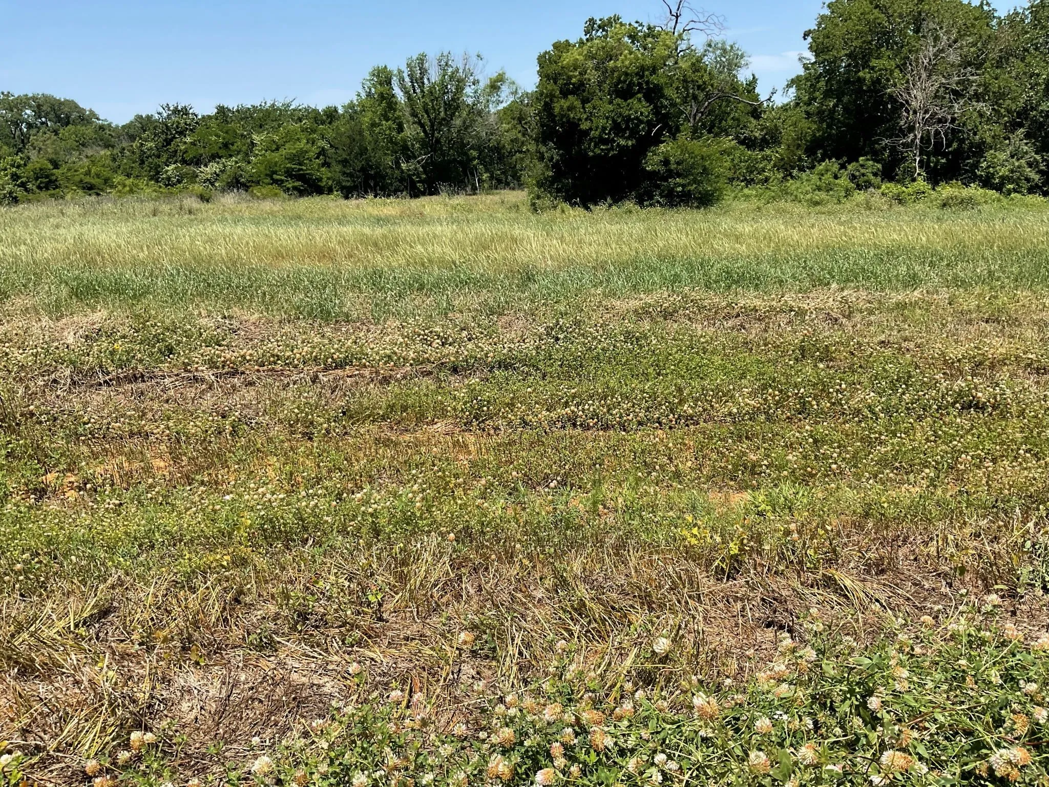 Unimproved Land For Sale in Johnson County , 1657 Private Access 60200, Burleson, Texas 76028, 0, 0, Garage spaces, 0 Sqft, built in 0, Price $340,000, mls#21147385, Real Estate Agent in Burleson, Homes For Sale in Johnson county, Homes For Sale in Burleson, Realtor in Burleson Texas, Real Estate Brokerage Independent Realty Texas, Luminita Cordes Realtor