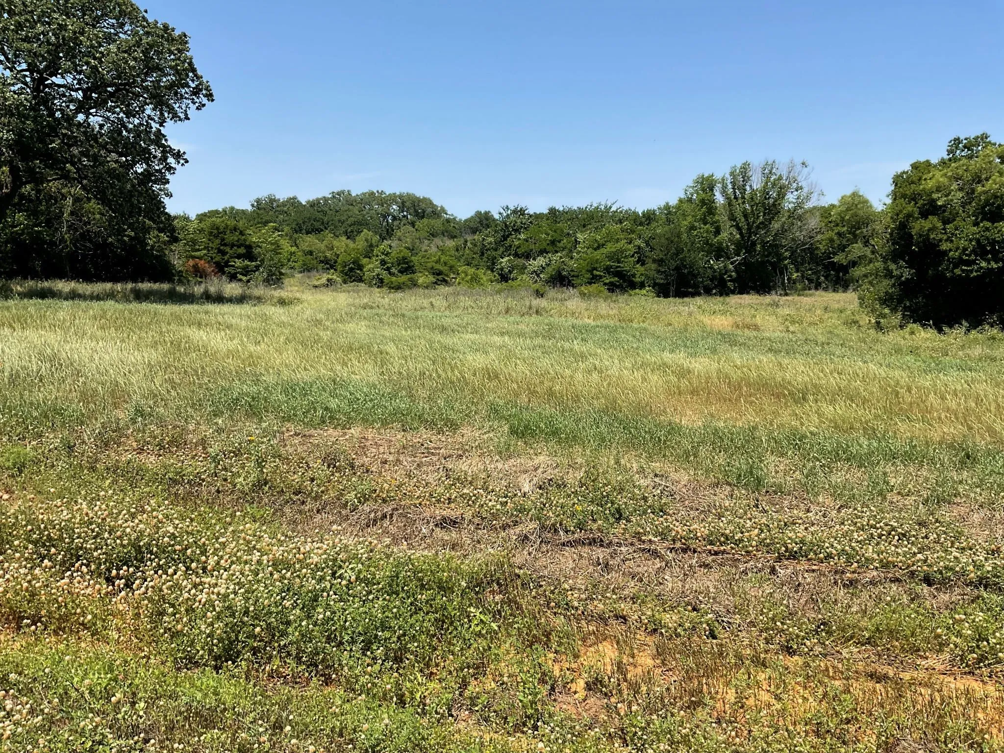 Unimproved Land For Sale in Johnson County , 1657 Private Access 60200, Burleson, Texas 76028, 0, 0, Garage spaces, 0 Sqft, built in 0, Price $340,000, mls#21147385, Real Estate Agent in Burleson, Homes For Sale in Johnson county, Homes For Sale in Burleson, Realtor in Burleson Texas, Real Estate Brokerage Independent Realty Texas, Luminita Cordes Realtor