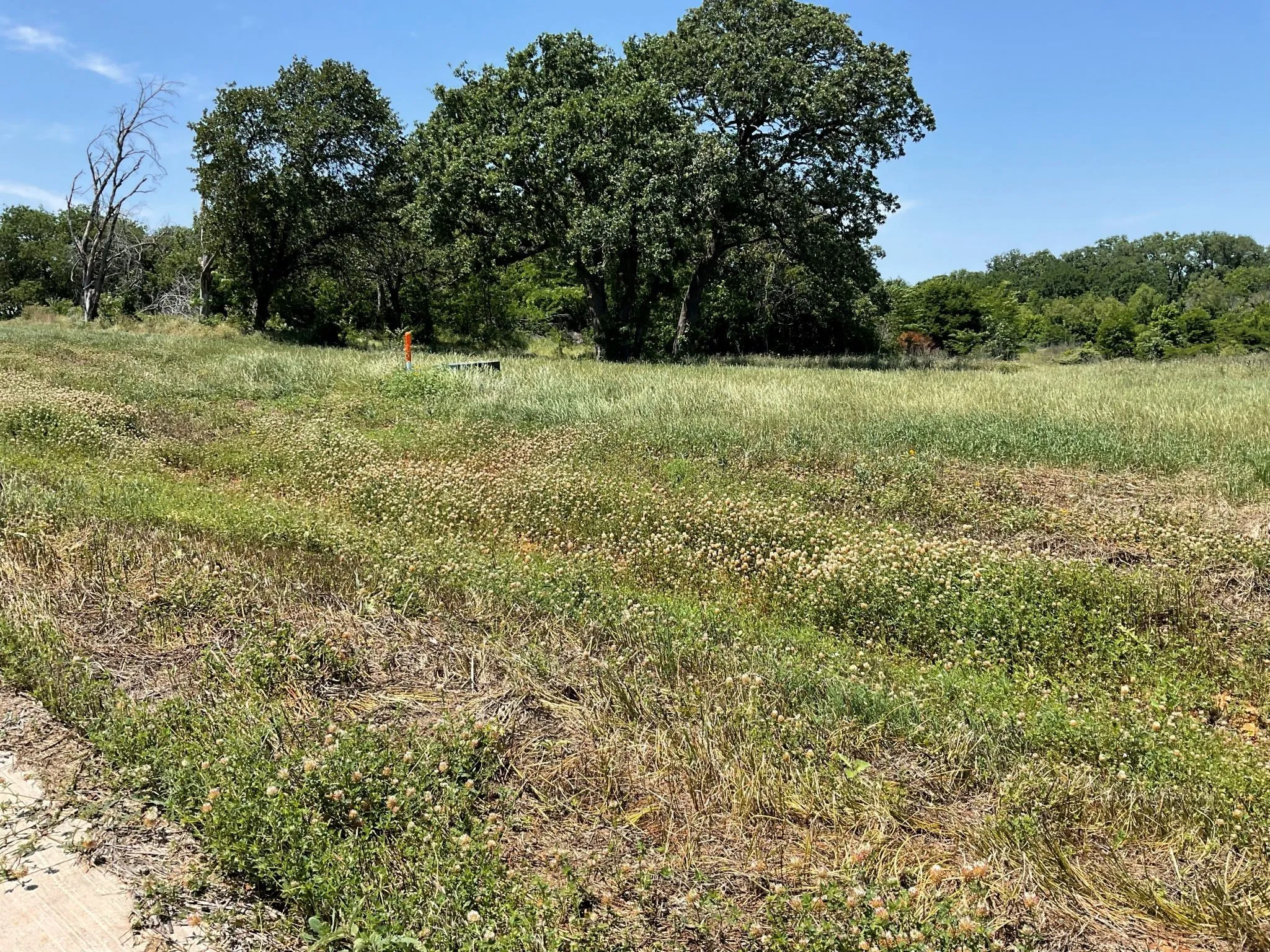 Unimproved Land For Sale in Johnson County , 1657 Private Access 60200, Burleson, Texas 76028, 0, 0, Garage spaces, 0 Sqft, built in 0, Price $340,000, mls#21147385, Real Estate Agent in Burleson, Homes For Sale in Johnson county, Homes For Sale in Burleson, Realtor in Burleson Texas, Real Estate Brokerage Independent Realty Texas, Luminita Cordes Realtor