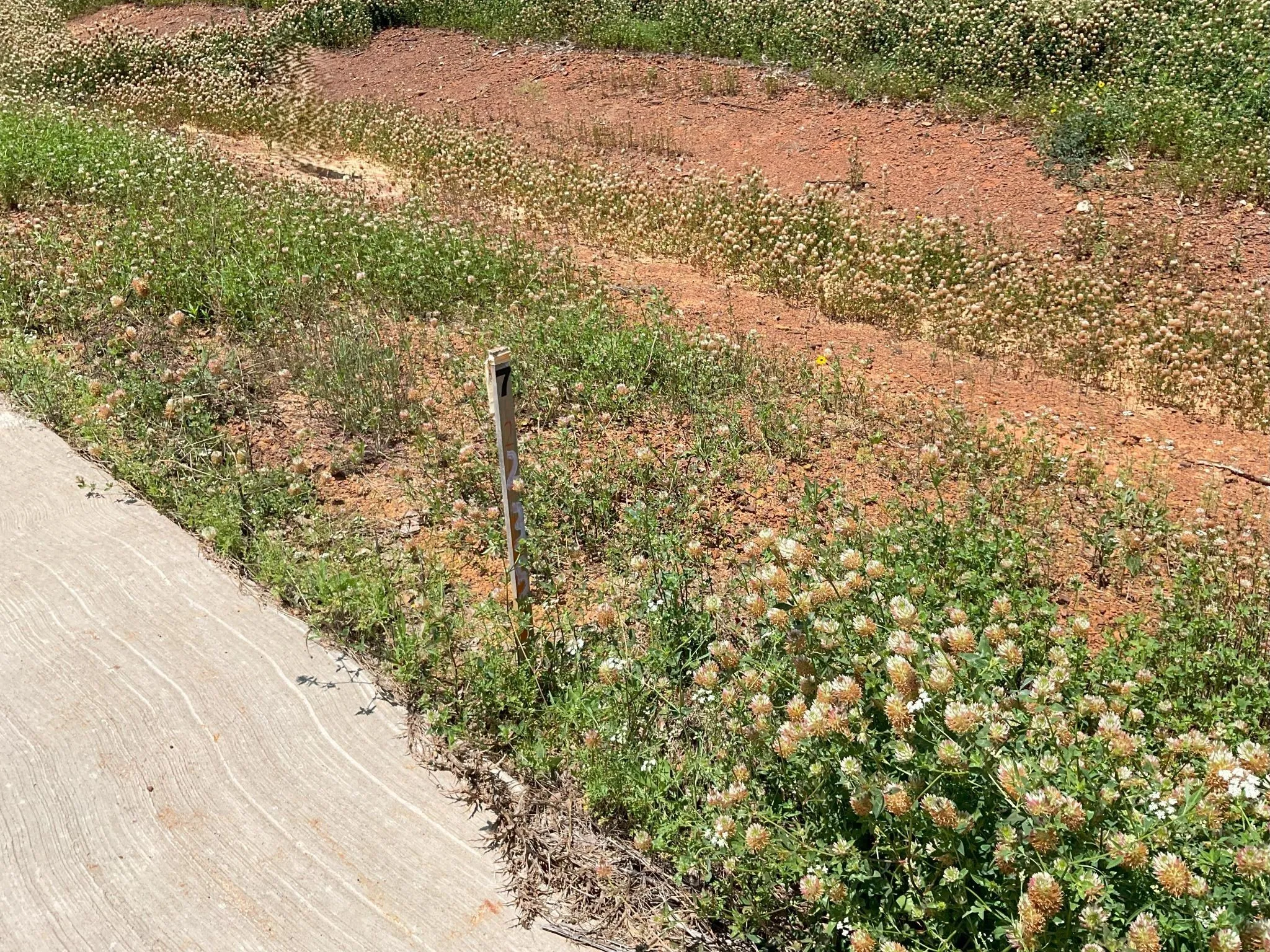 Unimproved Land For Sale in Johnson County , 1657 Private Access 60200, Burleson, Texas 76028, 0, 0, Garage spaces, 0 Sqft, built in 0, Price $340,000, mls#21147385, Real Estate Agent in Burleson, Homes For Sale in Johnson county, Homes For Sale in Burleson, Realtor in Burleson Texas, Real Estate Brokerage Independent Realty Texas, Luminita Cordes Realtor