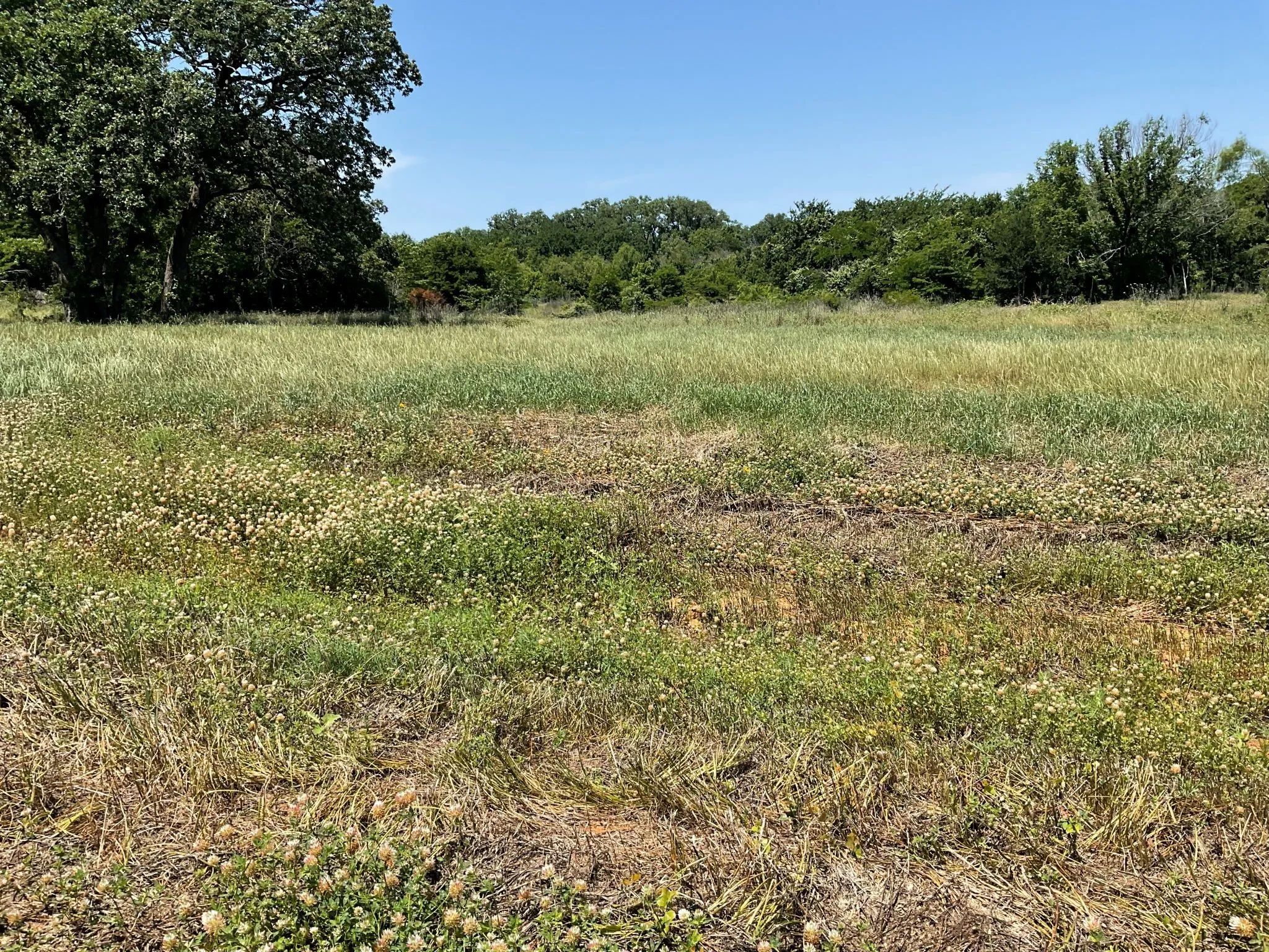 Unimproved Land For Sale in Johnson County , 1657 Private Access 60200, Burleson, Texas 76028, 0, 0, Garage spaces, 0 Sqft, built in 0, Price $340,000, mls#21147385, Real Estate Agent in Burleson, Homes For Sale in Johnson county, Homes For Sale in Burleson, Realtor in Burleson Texas, Real Estate Brokerage Independent Realty Texas, Luminita Cordes Realtor