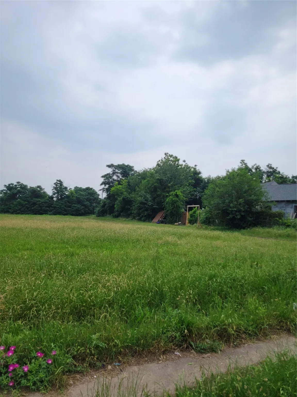 Side of Lot