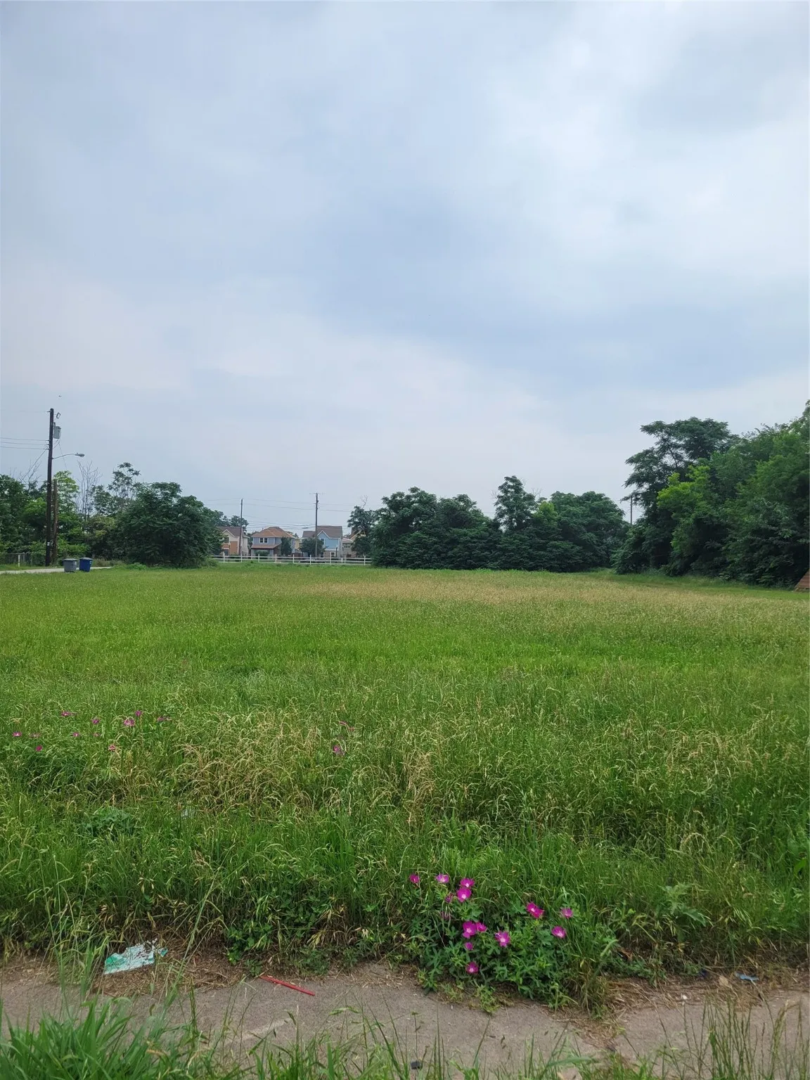 Unimproved Land For Sale in Dallas County , 4638 Collins Ave Collins Avenue, Dallas, Texas 75210, 0, 0, Garage spaces, 0 Sqft, built in 0, mls#21147659, Real Estate Agent in Dallas, Homes For Sale in Dallas county, Homes For Sale in Dallas, Realtor in Dallas Texas, Real Estate Brokerage Independent Realty Texas, Luminita Cordes Realtor