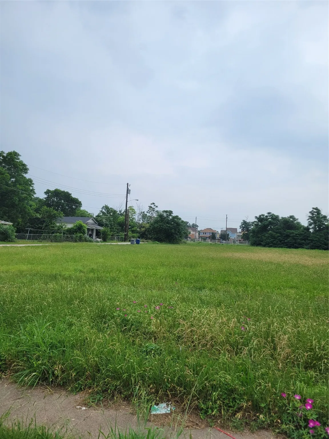 Front of Lot