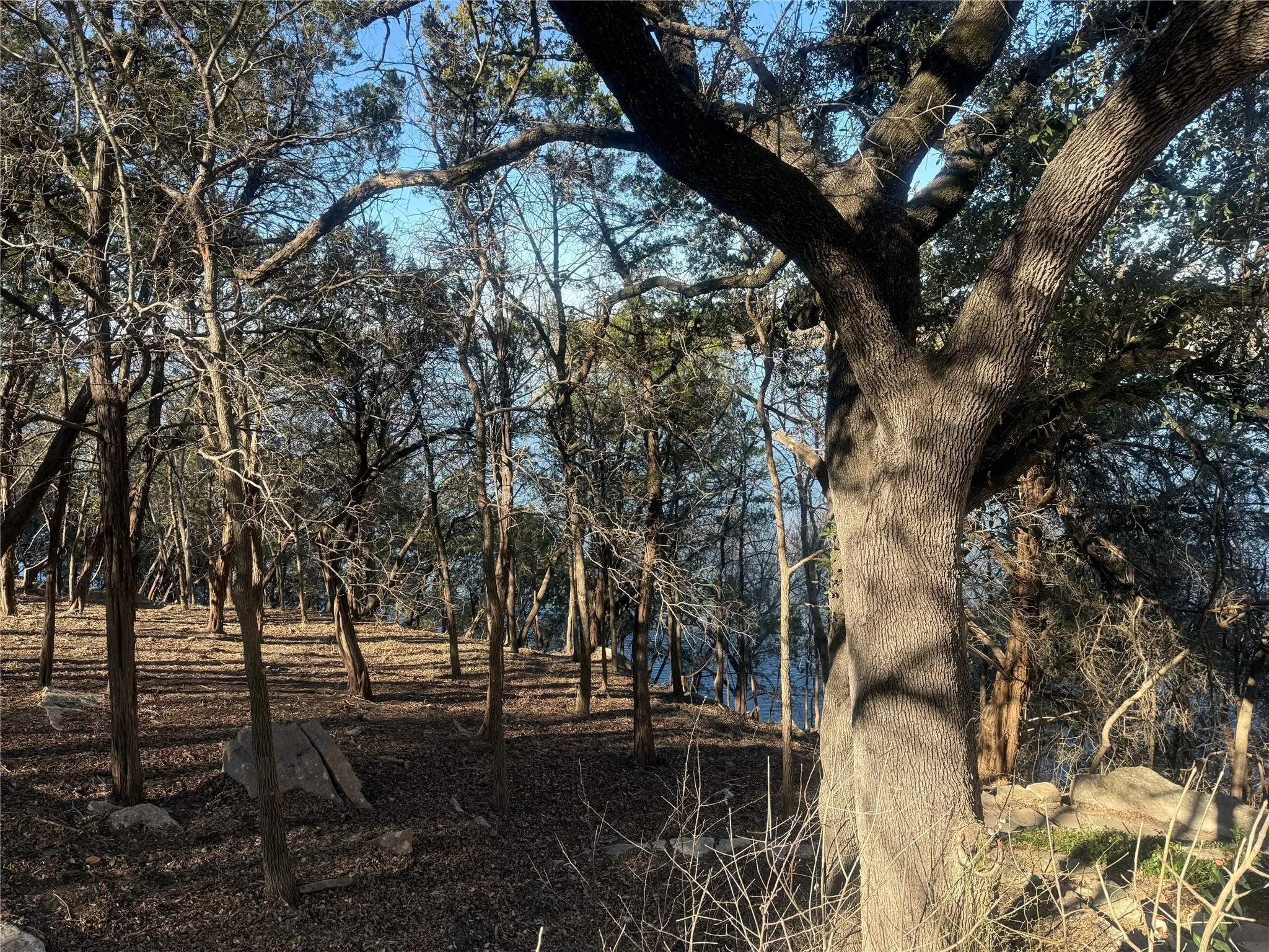 Unimproved Land For Sale in Hood County , 2508 River Ridge Court, Granbury, Texas 76048, 0, 0, Garage spaces, 0 Sqft, built in 0, Price $325,000, mls#21147216, Real Estate Agent in Granbury, Homes For Sale in Hood county, Homes For Sale in Granbury, Realtor in Granbury Texas, Real Estate Brokerage Independent Realty Texas, Luminita Cordes Realtor