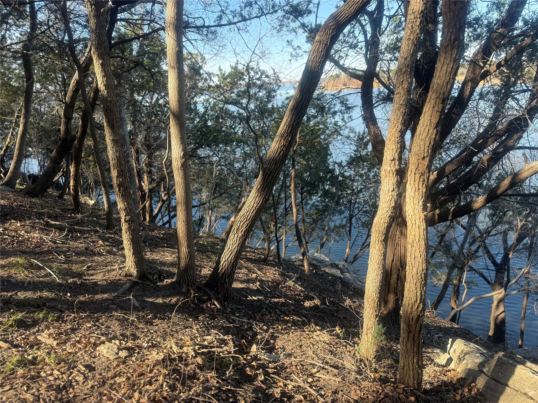 Unimproved Land For Sale in Hood County , 2508 River Ridge Court, Granbury, Texas 76048, 0, 0, Garage spaces, 0 Sqft, built in 0, Price $325,000, mls#21147216, Real Estate Agent in Granbury, Homes For Sale in Hood county, Homes For Sale in Granbury, Realtor in Granbury Texas, Real Estate Brokerage Independent Realty Texas, Luminita Cordes Realtor