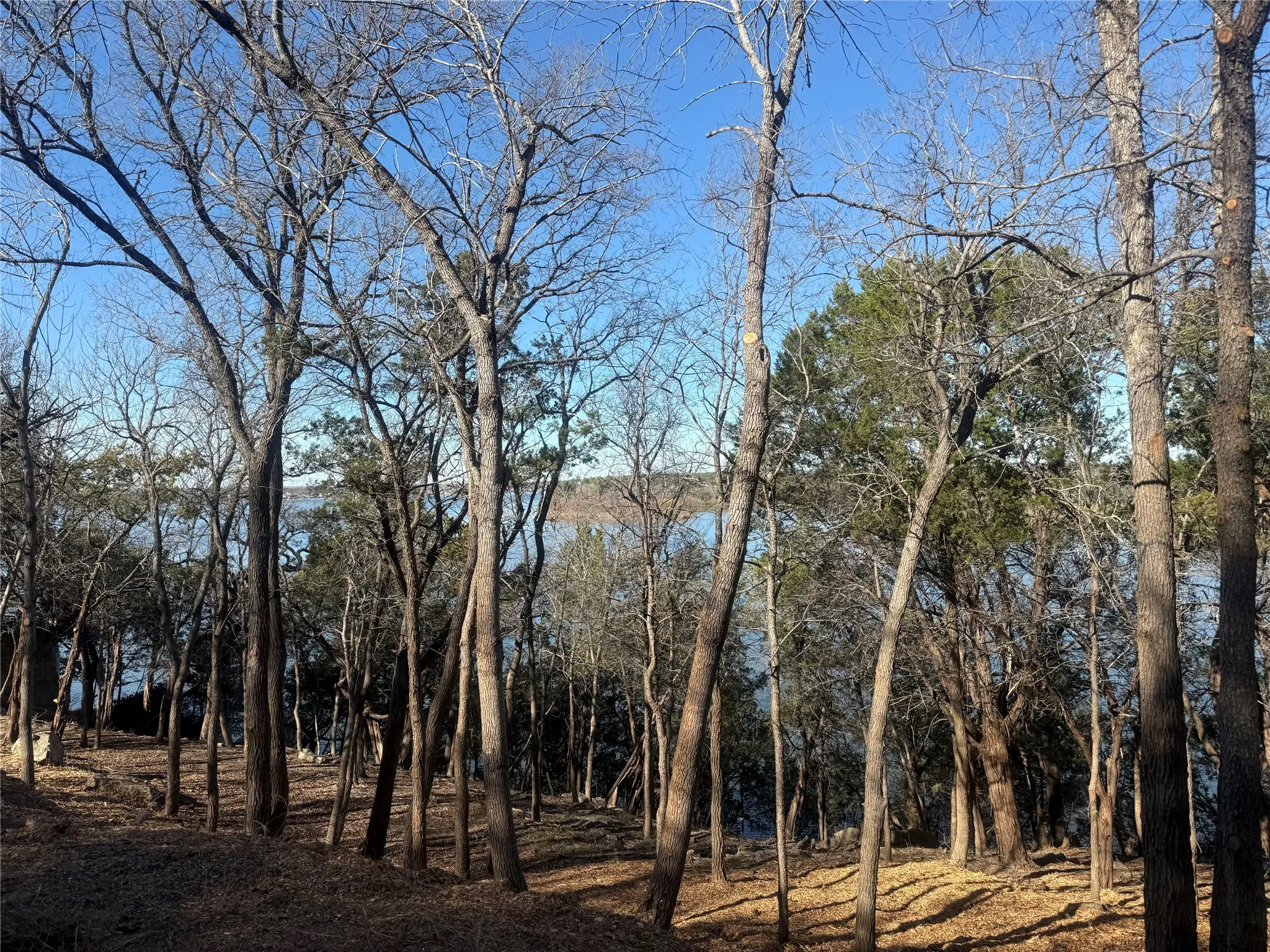 Unimproved Land For Sale in Hood County , 2508 River Ridge Court, Granbury, Texas 76048, 0, 0, Garage spaces, 0 Sqft, built in 0, Price $325,000, mls#21147216, Real Estate Agent in Granbury, Homes For Sale in Hood county, Homes For Sale in Granbury, Realtor in Granbury Texas, Real Estate Brokerage Independent Realty Texas, Luminita Cordes Realtor