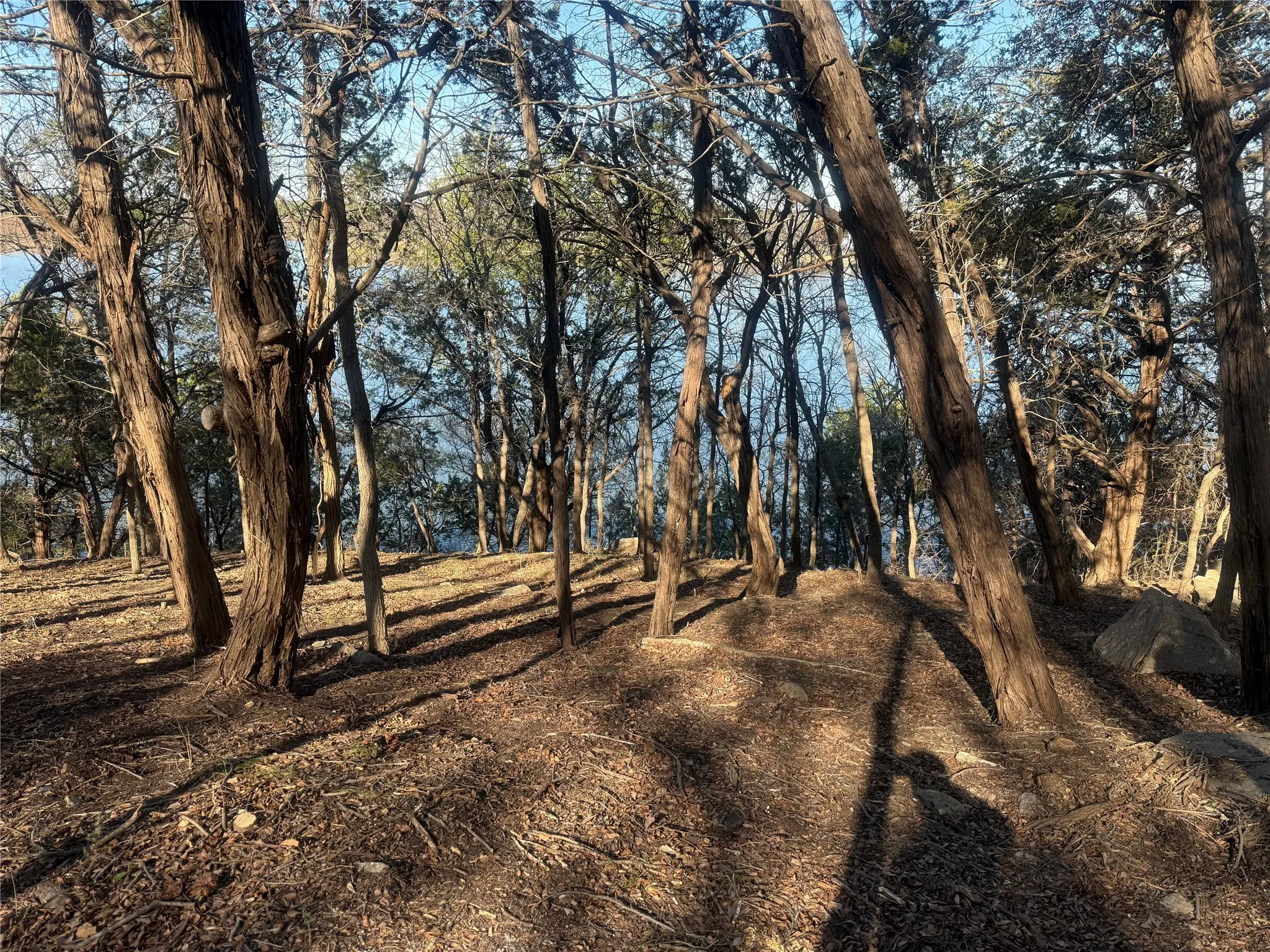 Unimproved Land For Sale in Hood County , 2508 River Ridge Court, Granbury, Texas 76048, 0, 0, Garage spaces, 0 Sqft, built in 0, Price $325,000, mls#21147216, Real Estate Agent in Granbury, Homes For Sale in Hood county, Homes For Sale in Granbury, Realtor in Granbury Texas, Real Estate Brokerage Independent Realty Texas, Luminita Cordes Realtor