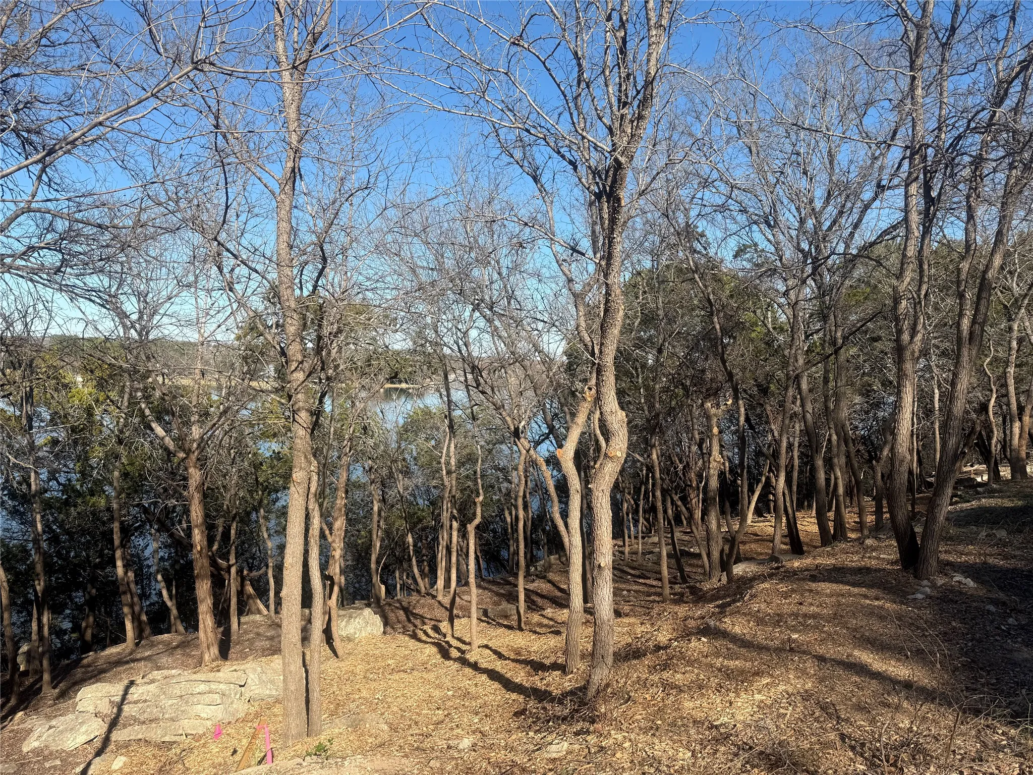 Unimproved Land For Sale in Hood County , 2508 River Ridge Court, Granbury, Texas 76048, 0, 0, Garage spaces, 0 Sqft, built in 0, Price $325,000, mls#21147216, Real Estate Agent in Granbury, Homes For Sale in Hood county, Homes For Sale in Granbury, Realtor in Granbury Texas, Real Estate Brokerage Independent Realty Texas, Luminita Cordes Realtor