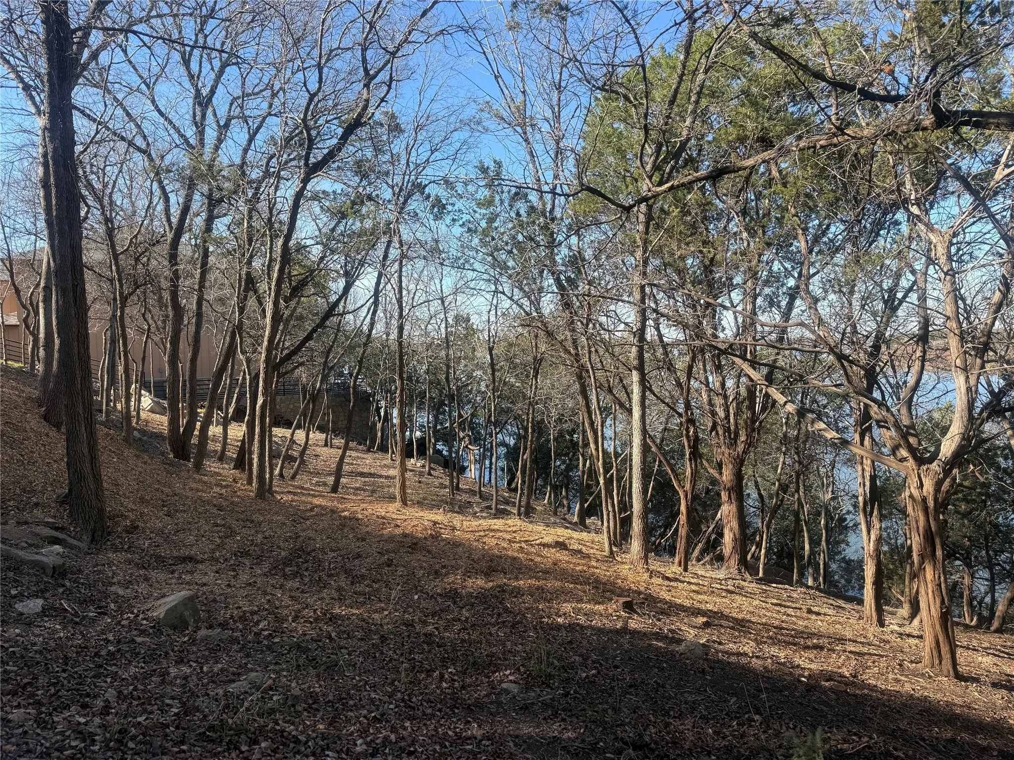 Unimproved Land For Sale in Hood County , 2508 River Ridge Court, Granbury, Texas 76048, 0, 0, Garage spaces, 0 Sqft, built in 0, Price $325,000, mls#21147216, Real Estate Agent in Granbury, Homes For Sale in Hood county, Homes For Sale in Granbury, Realtor in Granbury Texas, Real Estate Brokerage Independent Realty Texas, Luminita Cordes Realtor
