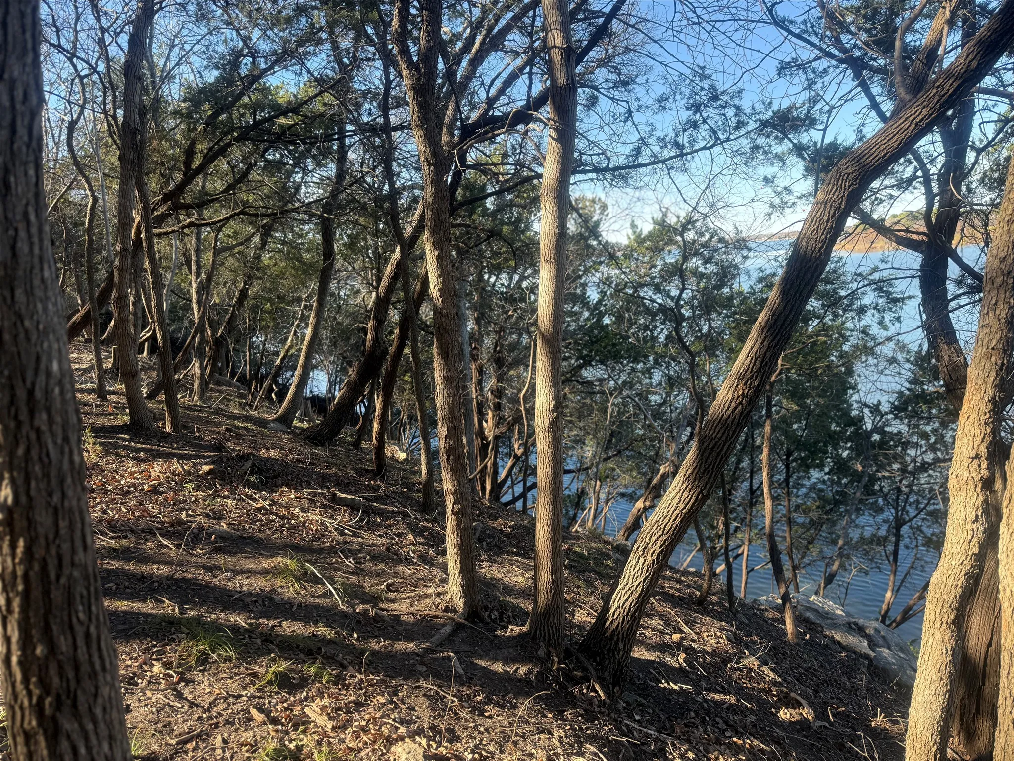 Unimproved Land For Sale in Hood County , 2508 River Ridge Court, Granbury, Texas 76048, 0, 0, Garage spaces, 0 Sqft, built in 0, Price $325,000, mls#21147216, Real Estate Agent in Granbury, Homes For Sale in Hood county, Homes For Sale in Granbury, Realtor in Granbury Texas, Real Estate Brokerage Independent Realty Texas, Luminita Cordes Realtor