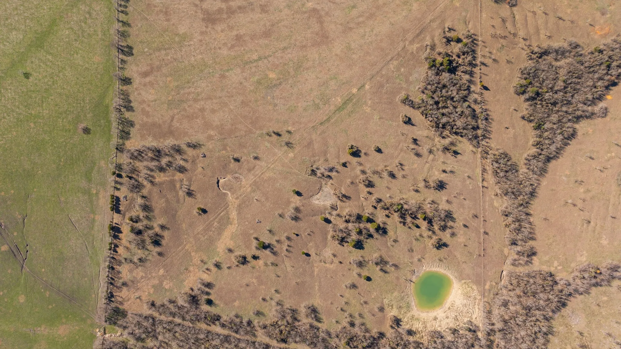 Unimproved Land For Sale in Ellis County , TBD Alsdorf Road, Ennis, Texas 75119, 0, 0, Garage spaces, 0 Sqft, built in 0, Price $2,299,777, mls#21144041, Real Estate Agent in Ennis, Homes For Sale in Ellis county, Homes For Sale in Ennis, Realtor in Ennis Texas, Real Estate Brokerage Independent Realty Texas, Luminita Cordes Realtor