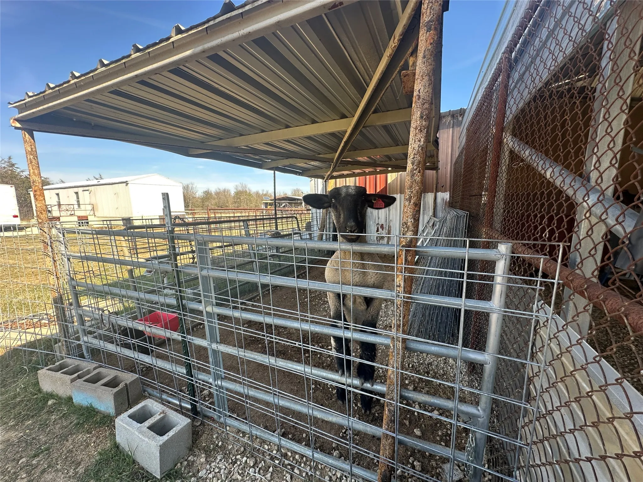 Upclose of stable
