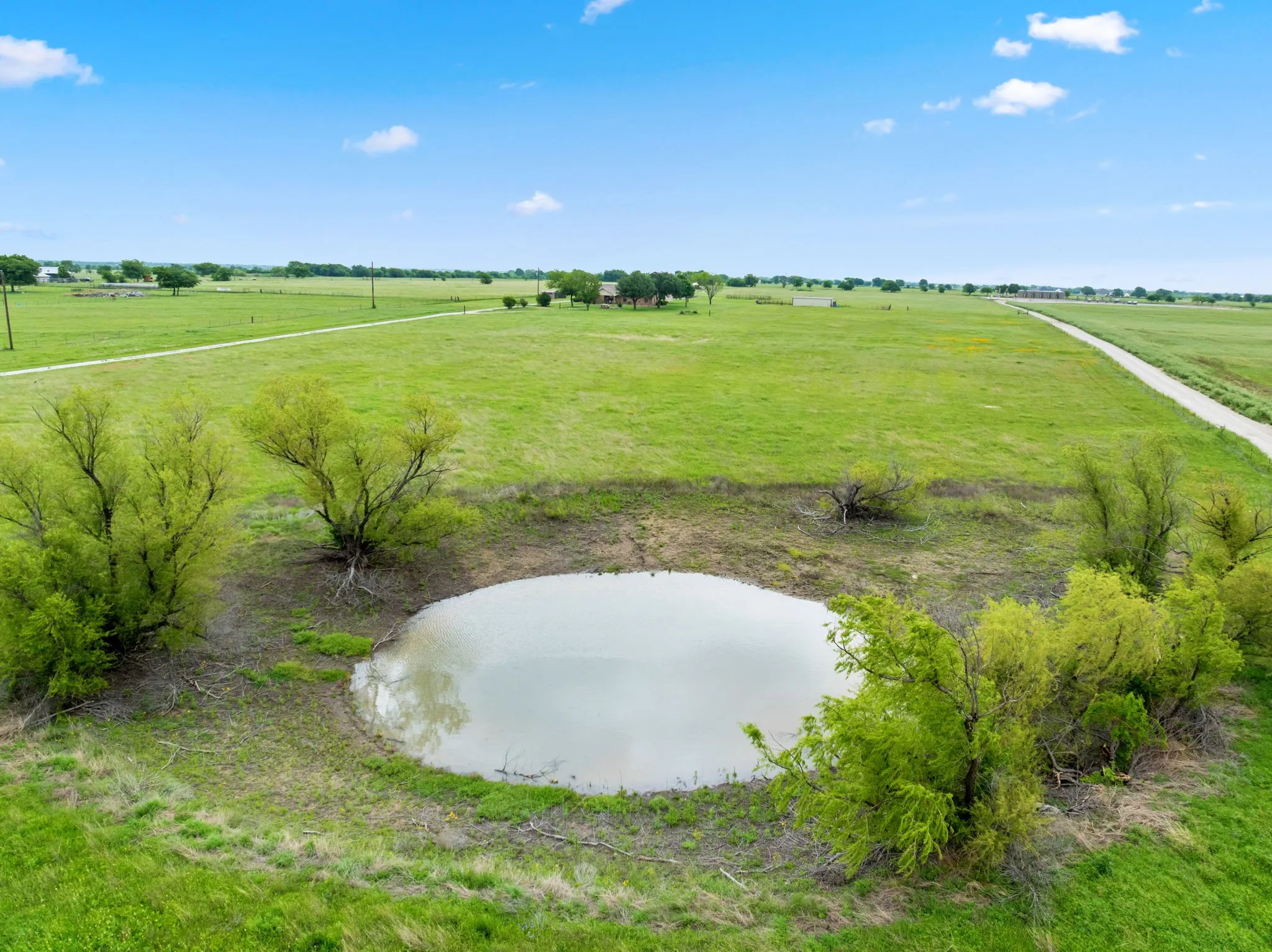 Pond/Tank
