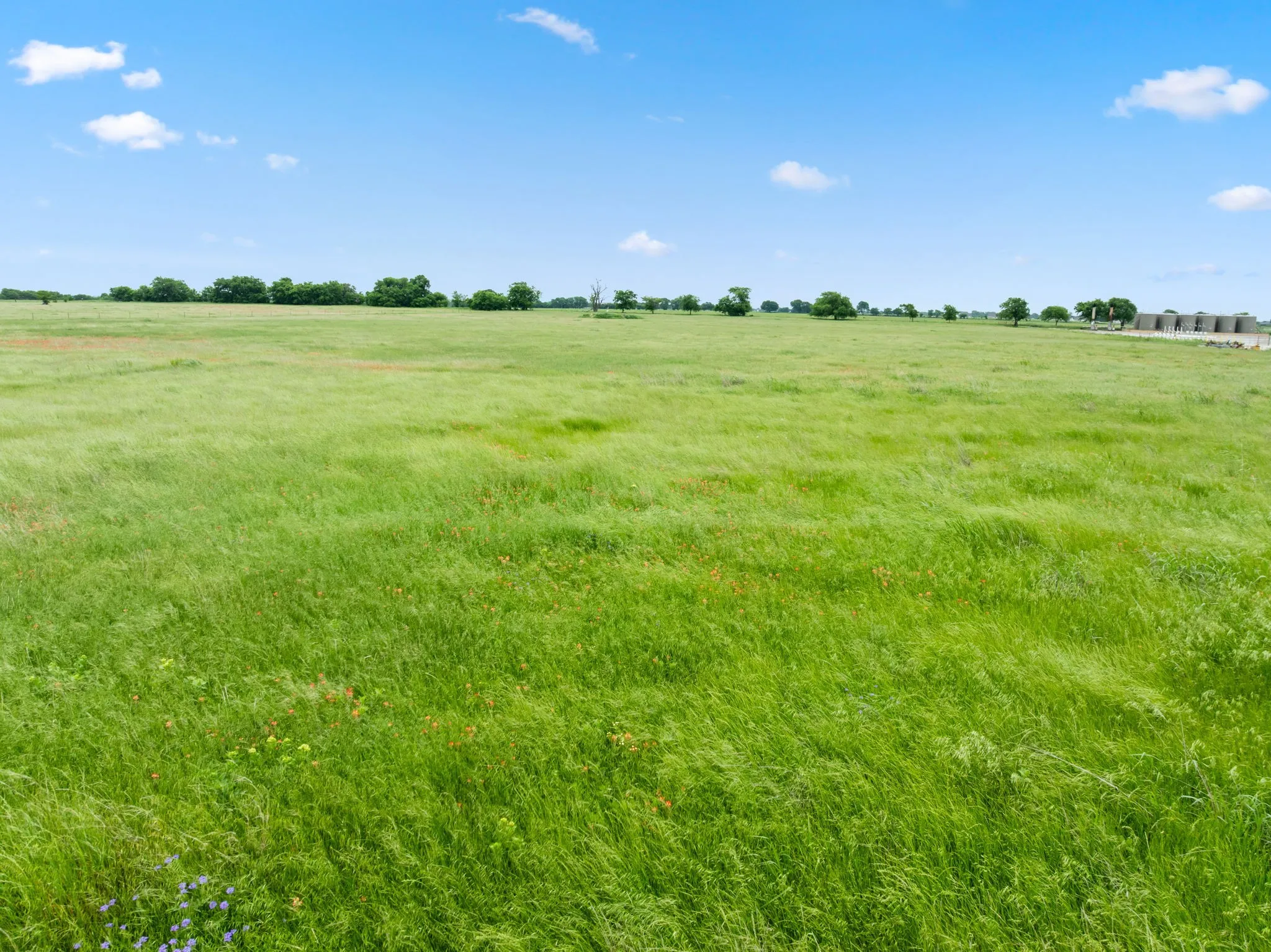 Pasture View