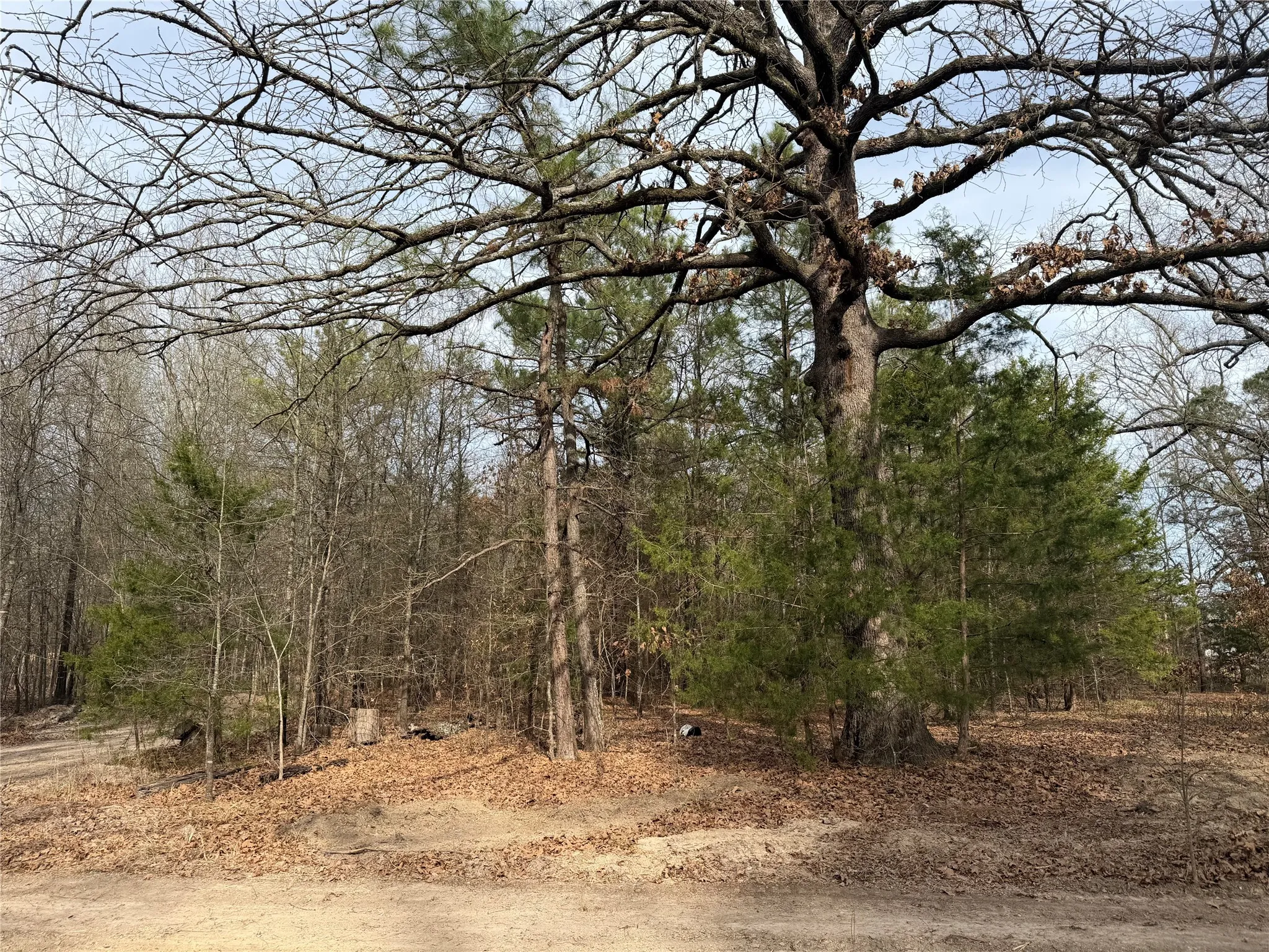 Improved Land For Sale in Red River (TX) County , TBD Hwy 37, Clarksville, Texas 75426, 0, 0, Garage spaces, 0 Sqft, built in 0, Price $99,000, mls#21147576, Real Estate Agent in Clarksville, Homes For Sale in Red River (TX) county, Homes For Sale in Clarksville, Realtor in Clarksville Texas, Real Estate Brokerage Independent Realty Texas, Luminita Cordes Realtor
