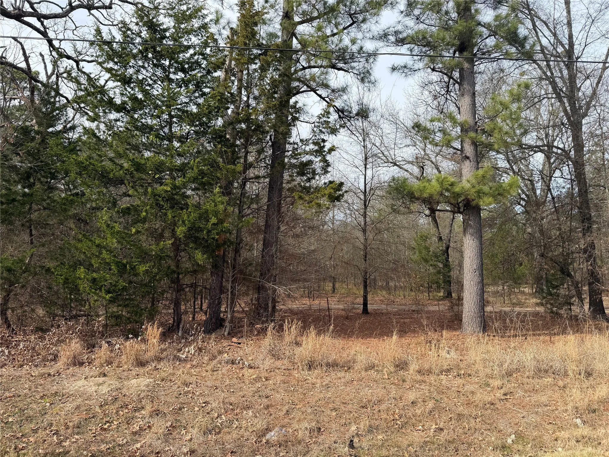 Improved Land For Sale in Red River (TX) County , TBD Hwy 37, Clarksville, Texas 75426, 0, 0, Garage spaces, 0 Sqft, built in 0, Price $99,000, mls#21147576, Real Estate Agent in Clarksville, Homes For Sale in Red River (TX) county, Homes For Sale in Clarksville, Realtor in Clarksville Texas, Real Estate Brokerage Independent Realty Texas, Luminita Cordes Realtor