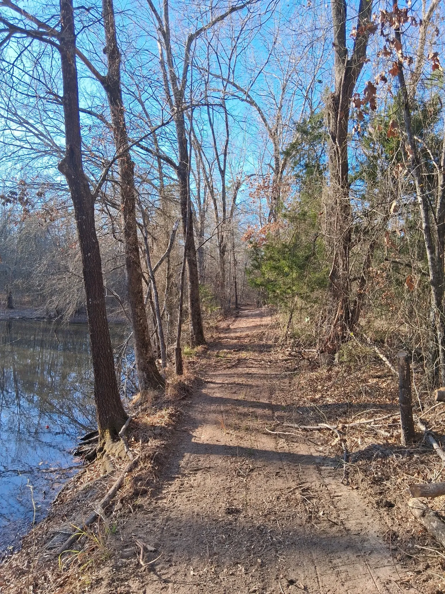 Improved Land For Sale in Red River (TX) County , TBD Hwy 37, Clarksville, Texas 75426, 0, 0, Garage spaces, 0 Sqft, built in 0, Price $99,000, mls#21147576, Real Estate Agent in Clarksville, Homes For Sale in Red River (TX) county, Homes For Sale in Clarksville, Realtor in Clarksville Texas, Real Estate Brokerage Independent Realty Texas, Luminita Cordes Realtor