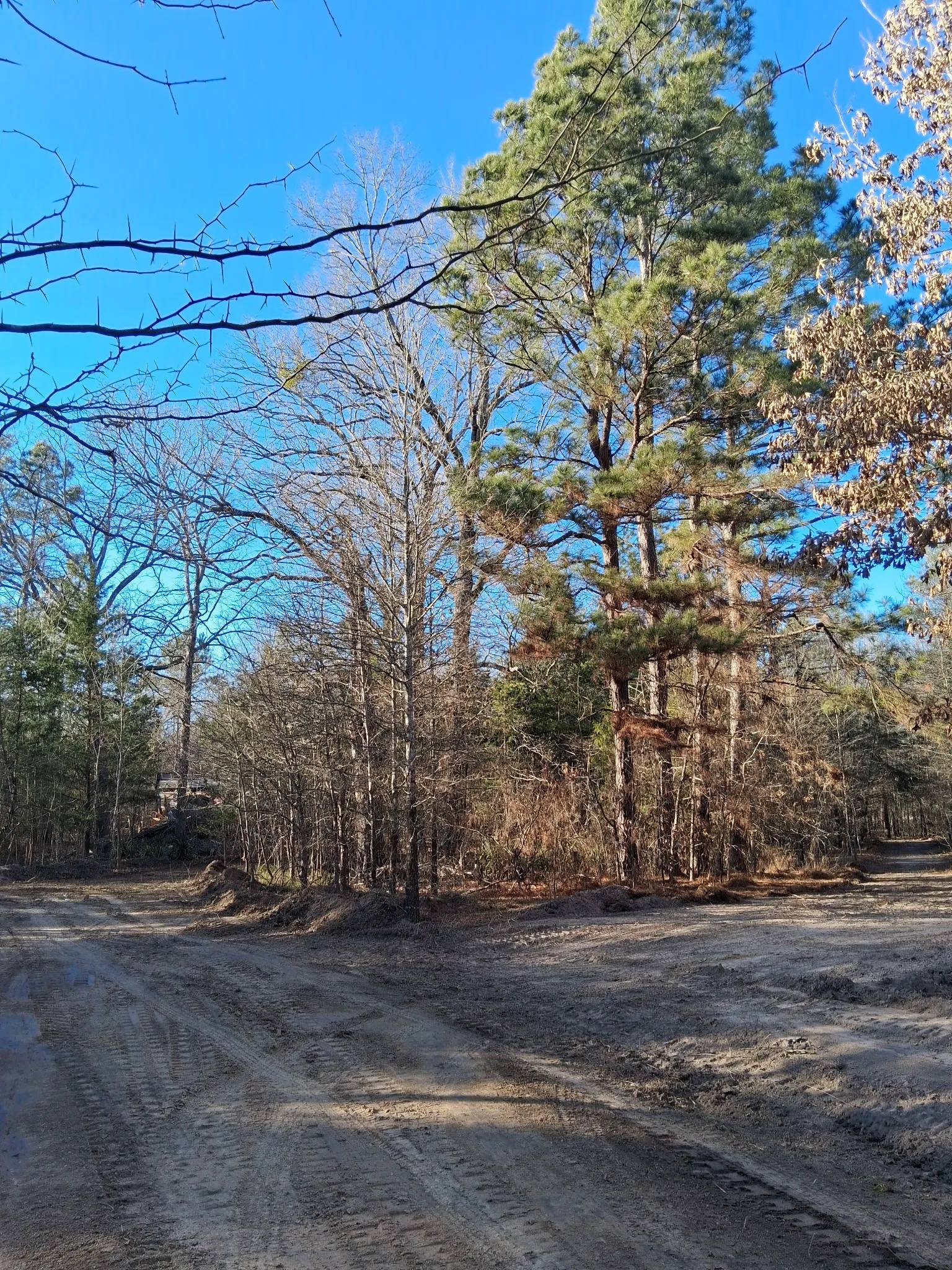 Improved Land For Sale in Red River (TX) County , TBD Hwy 37, Clarksville, Texas 75426, 0, 0, Garage spaces, 0 Sqft, built in 0, Price $99,000, mls#21147576, Real Estate Agent in Clarksville, Homes For Sale in Red River (TX) county, Homes For Sale in Clarksville, Realtor in Clarksville Texas, Real Estate Brokerage Independent Realty Texas, Luminita Cordes Realtor