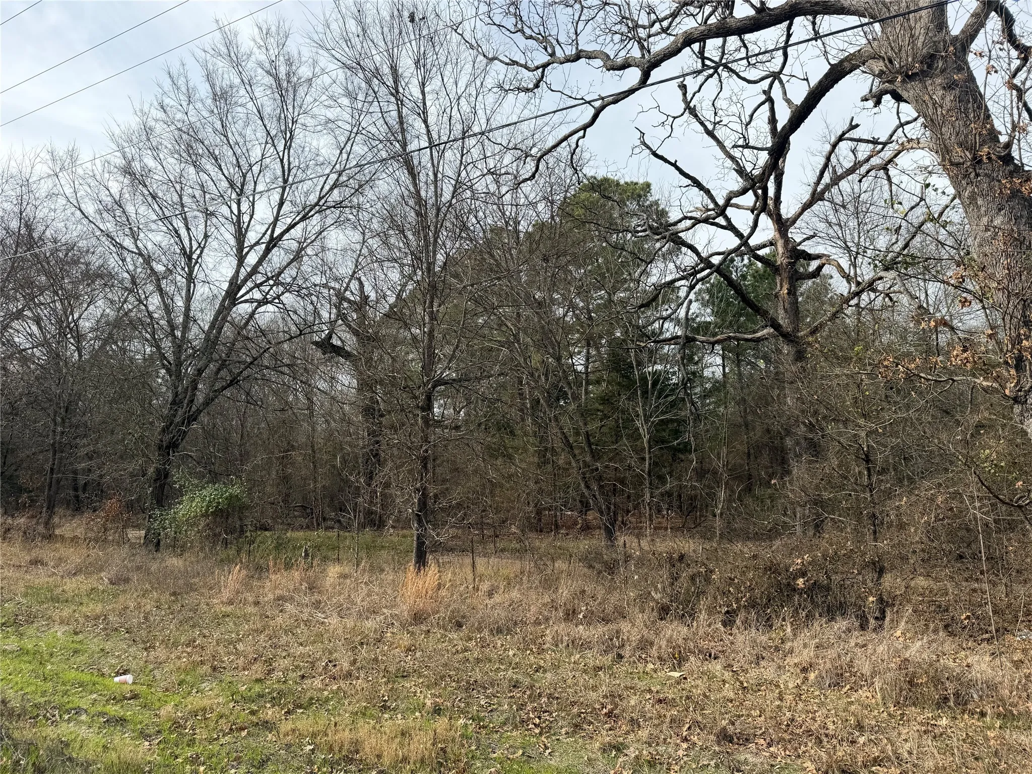 Improved Land For Sale in Red River (TX) County , TBD Hwy 37, Clarksville, Texas 75426, 0, 0, Garage spaces, 0 Sqft, built in 0, Price $99,000, mls#21147576, Real Estate Agent in Clarksville, Homes For Sale in Red River (TX) county, Homes For Sale in Clarksville, Realtor in Clarksville Texas, Real Estate Brokerage Independent Realty Texas, Luminita Cordes Realtor