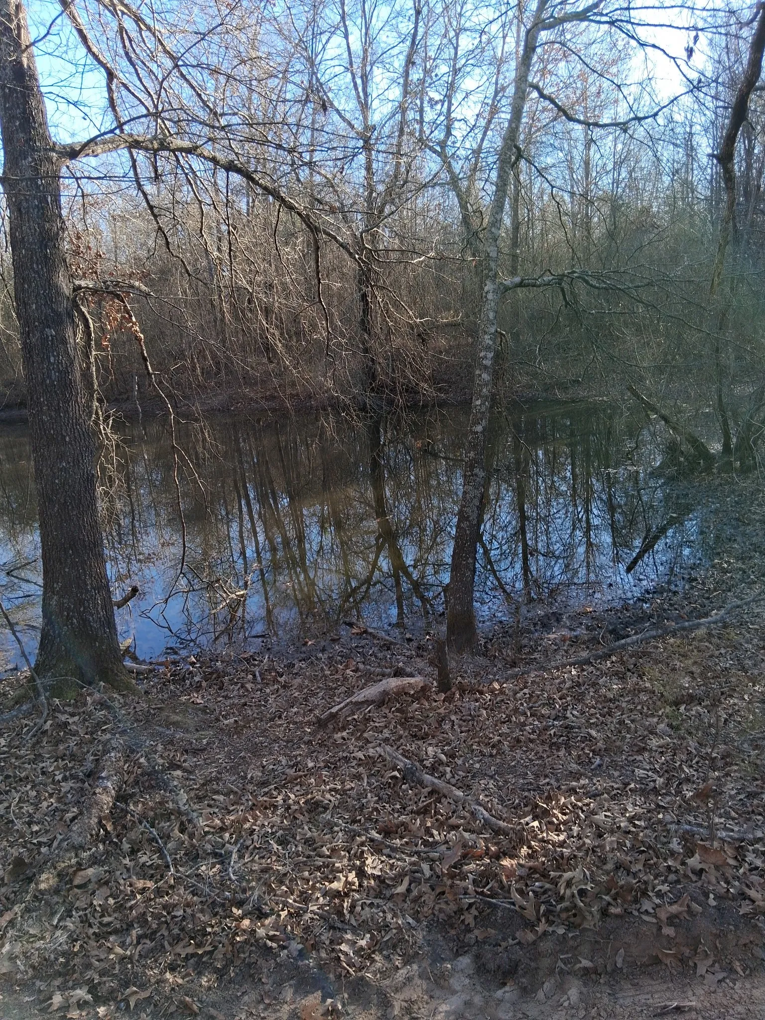 Improved Land For Sale in Red River (TX) County , TBD Hwy 37, Clarksville, Texas 75426, 0, 0, Garage spaces, 0 Sqft, built in 0, Price $99,000, mls#21147576, Real Estate Agent in Clarksville, Homes For Sale in Red River (TX) county, Homes For Sale in Clarksville, Realtor in Clarksville Texas, Real Estate Brokerage Independent Realty Texas, Luminita Cordes Realtor