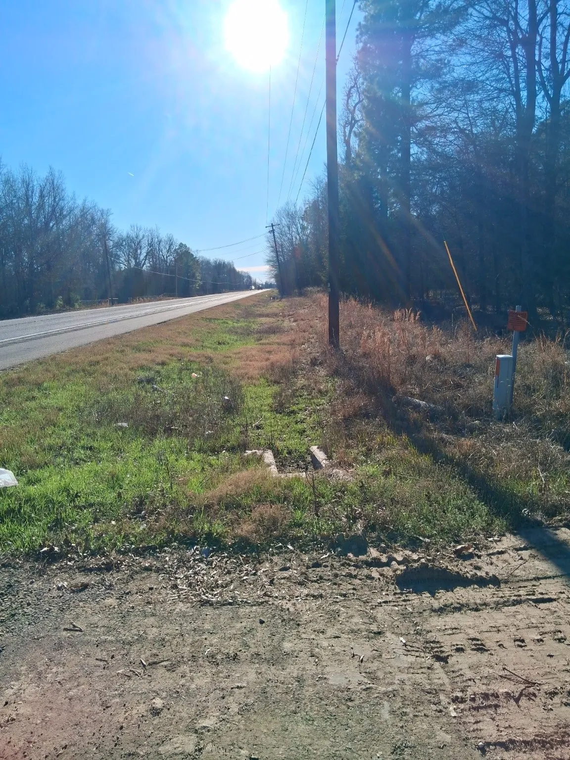 Improved Land For Sale in Red River (TX) County , TBD Hwy 37, Clarksville, Texas 75426, 0, 0, Garage spaces, 0 Sqft, built in 0, Price $99,000, mls#21147576, Real Estate Agent in Clarksville, Homes For Sale in Red River (TX) county, Homes For Sale in Clarksville, Realtor in Clarksville Texas, Real Estate Brokerage Independent Realty Texas, Luminita Cordes Realtor