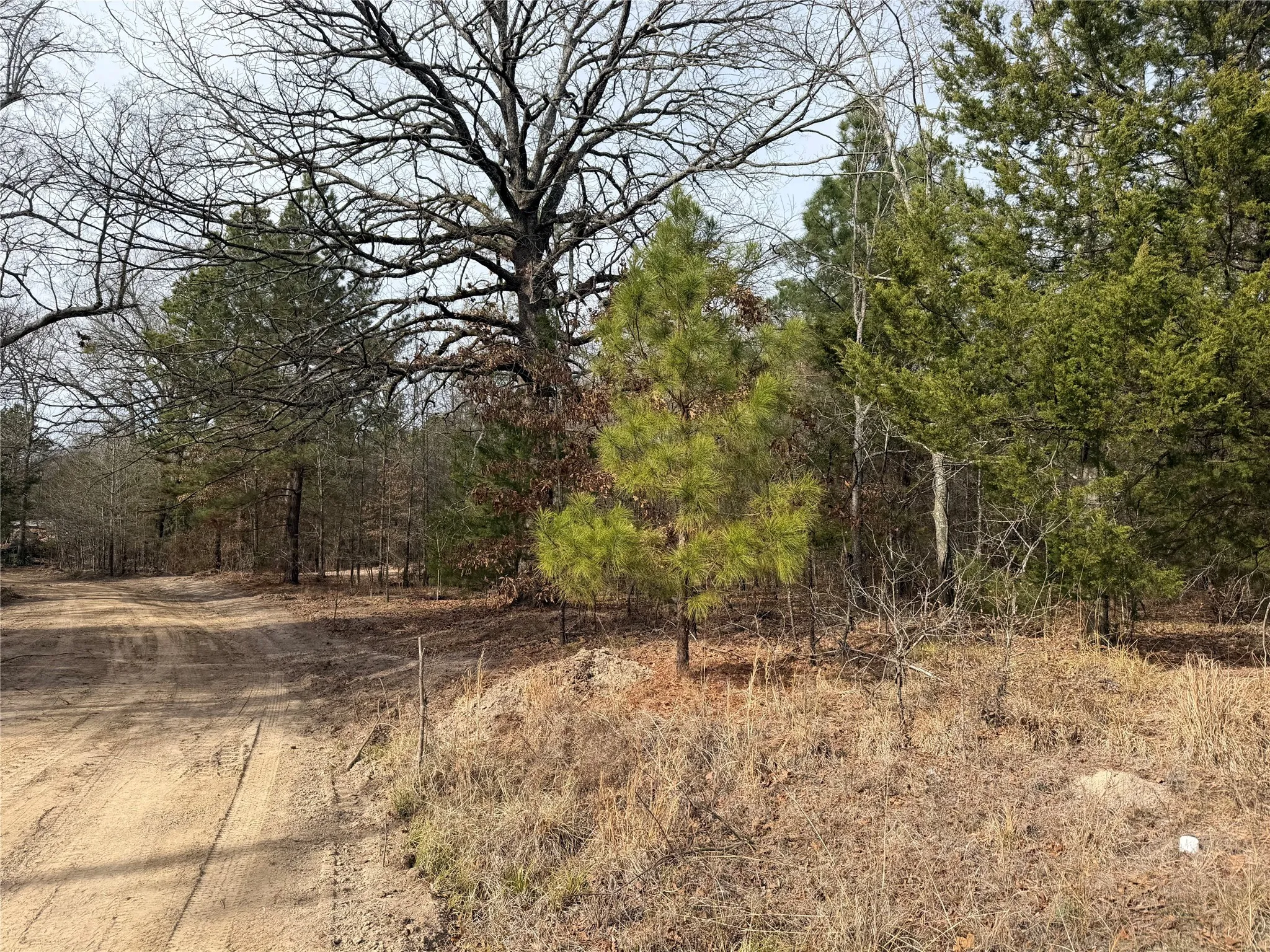 Improved Land For Sale in Red River (TX) County , TBD Hwy 37, Clarksville, Texas 75426, 0, 0, Garage spaces, 0 Sqft, built in 0, Price $99,000, mls#21147576, Real Estate Agent in Clarksville, Homes For Sale in Red River (TX) county, Homes For Sale in Clarksville, Realtor in Clarksville Texas, Real Estate Brokerage Independent Realty Texas, Luminita Cordes Realtor