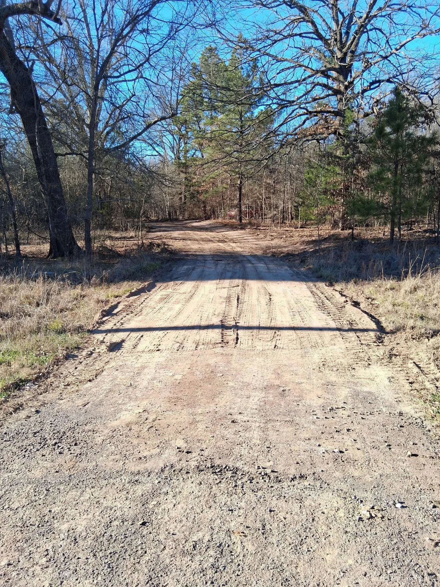 Improved Land For Sale in Red River (TX) County , TBD Hwy 37, Clarksville, Texas 75426, 0, 0, Garage spaces, 0 Sqft, built in 0, Price $99,000, mls#21147576, Real Estate Agent in Clarksville, Homes For Sale in Red River (TX) county, Homes For Sale in Clarksville, Realtor in Clarksville Texas, Real Estate Brokerage Independent Realty Texas, Luminita Cordes Realtor