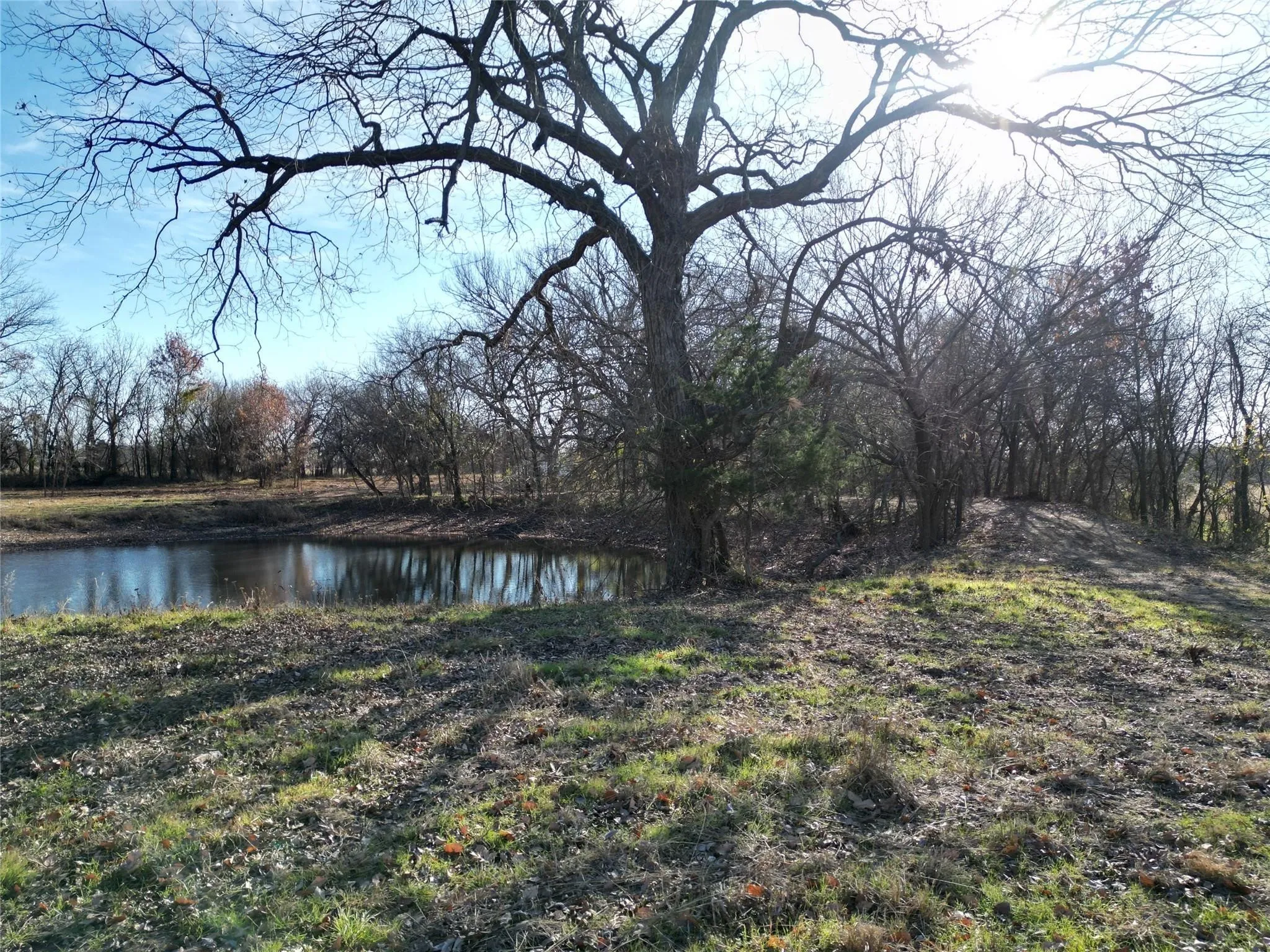 Improved Land For Sale in Cooke County , Lot 2 TBD Hidden Valley Road, Valley View, Texas 76272, 0, 0, Garage spaces, 0 Sqft, built in 0, Price $350,000, mls#21141383, Real Estate Agent in Valley View, Homes For Sale in Cooke county, Homes For Sale in Valley View, Realtor in Valley View Texas, Real Estate Brokerage Independent Realty Texas, Luminita Cordes Realtor