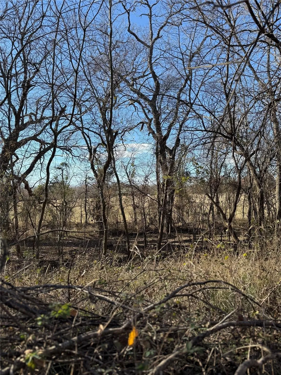 Improved Land For Sale in Cooke County , Lot 2 TBD Hidden Valley Road, Valley View, Texas 76272, 0, 0, Garage spaces, 0 Sqft, built in 0, Price $350,000, mls#21141383, Real Estate Agent in Valley View, Homes For Sale in Cooke county, Homes For Sale in Valley View, Realtor in Valley View Texas, Real Estate Brokerage Independent Realty Texas, Luminita Cordes Realtor