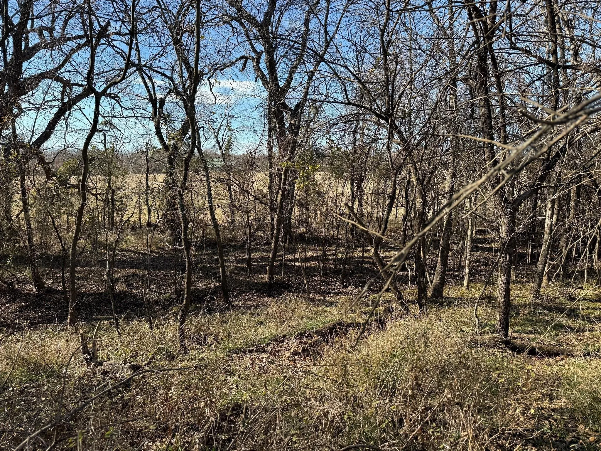 Improved Land For Sale in Cooke County , Lot 4 TBD Hidden Valley Road, Valley View, Texas 76272, 0, 0, Garage spaces, 0 Sqft, built in 0, mls#21141834, Real Estate Agent in Valley View, Homes For Sale in Cooke county, Homes For Sale in Valley View, Realtor in Valley View Texas, Real Estate Brokerage Independent Realty Texas, Luminita Cordes Realtor