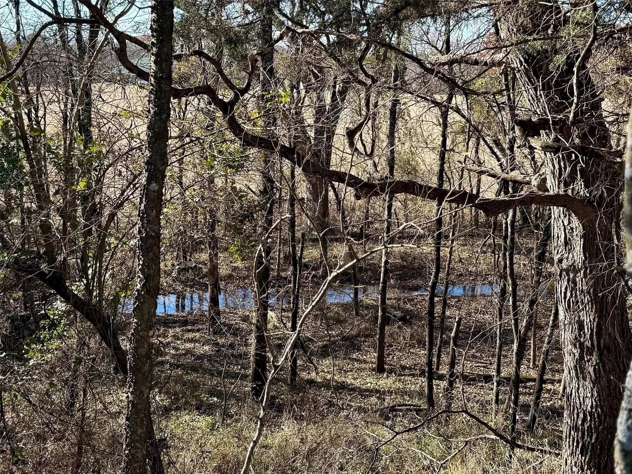 Improved Land For Sale in Cooke County , Lot 4 TBD Hidden Valley Road, Valley View, Texas 76272, 0, 0, Garage spaces, 0 Sqft, built in 0, mls#21141834, Real Estate Agent in Valley View, Homes For Sale in Cooke county, Homes For Sale in Valley View, Realtor in Valley View Texas, Real Estate Brokerage Independent Realty Texas, Luminita Cordes Realtor